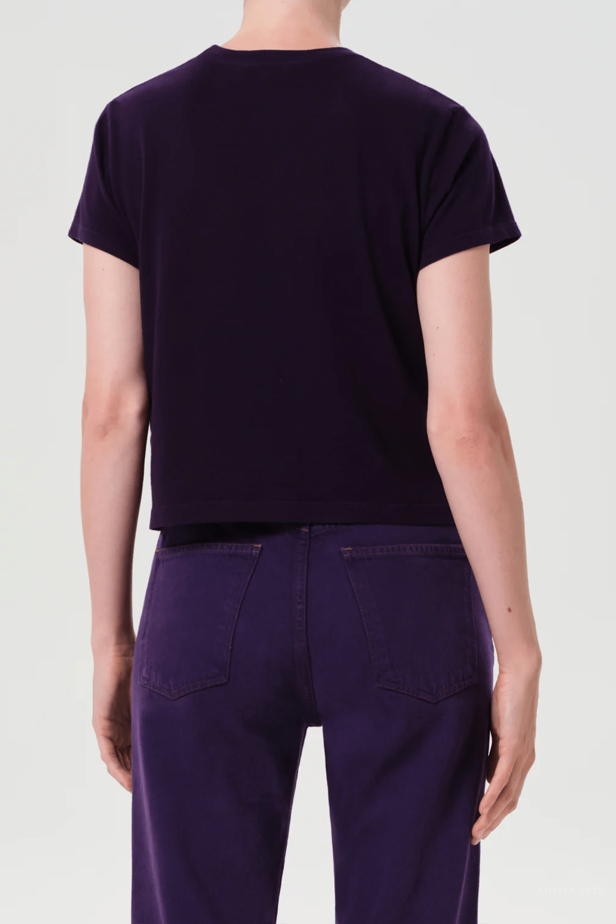 Adine Shrunken Tee in Cordial - shop - olivia.com