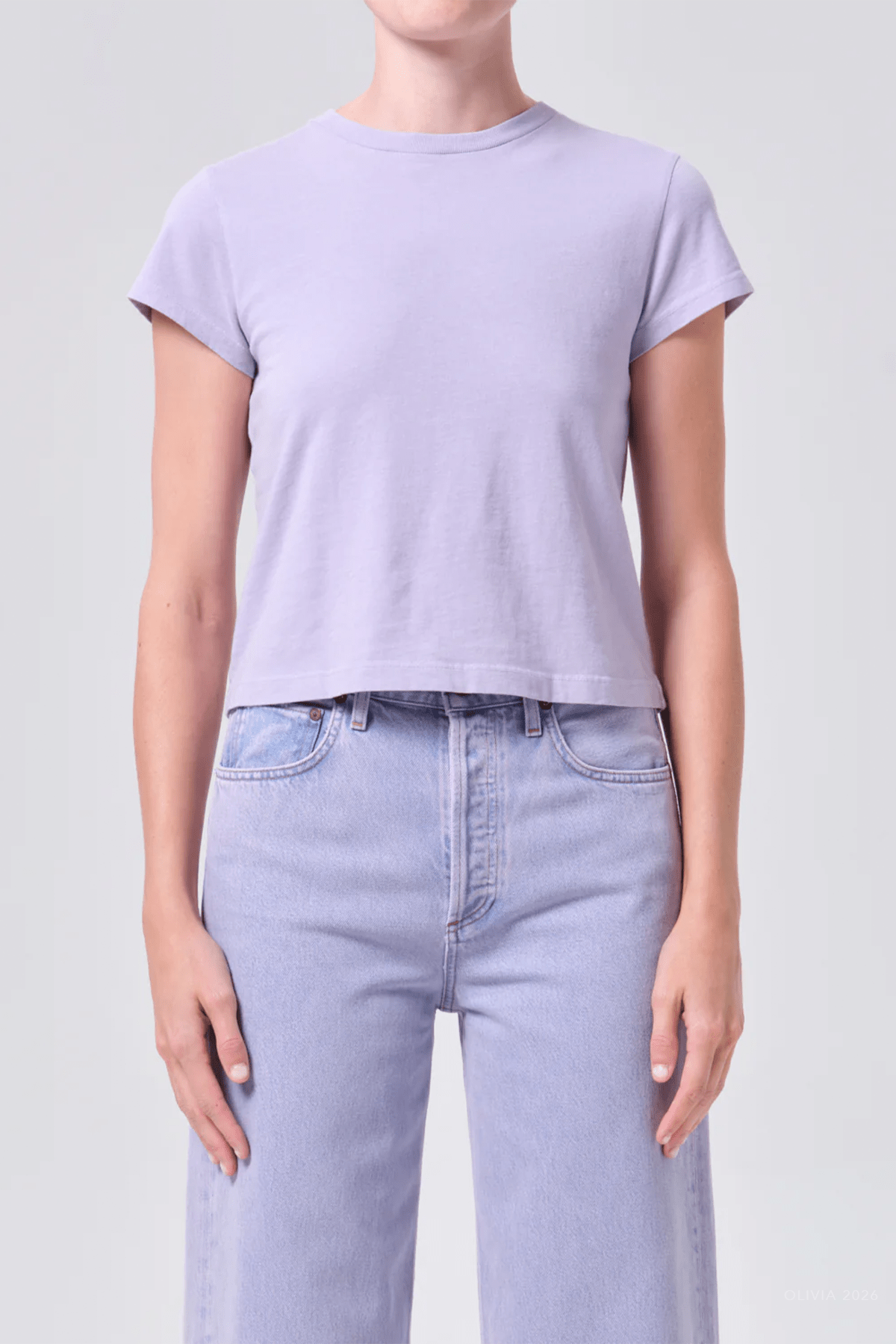 Adine Shrunken Tee in Lilac - shop - olivia.com