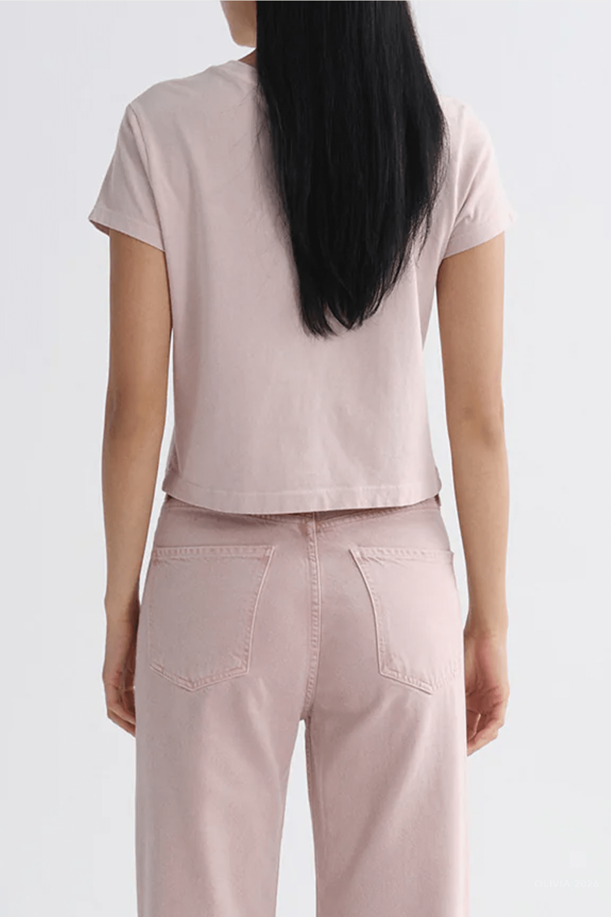 Adine Shrunken Tee in Wallflower - shop-olivia.com