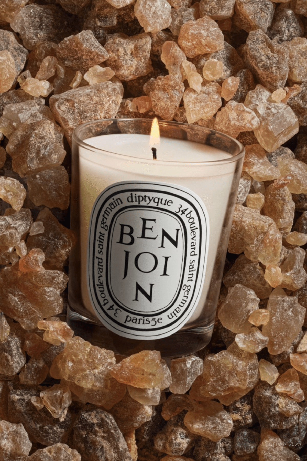 Benjoin Classic Candle 6.5oz - shop - olivia.com