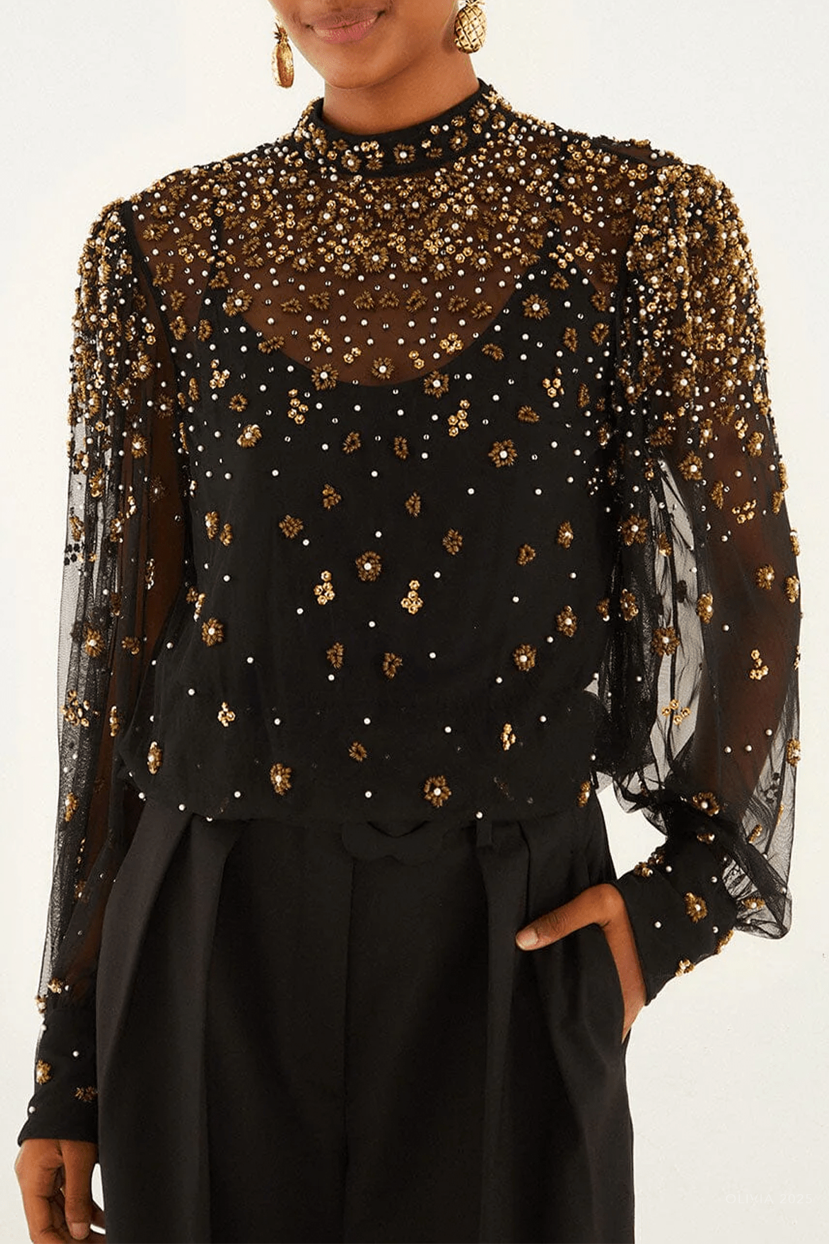 Black Embroidered Tulle Lined Blouse - shop - olivia.com