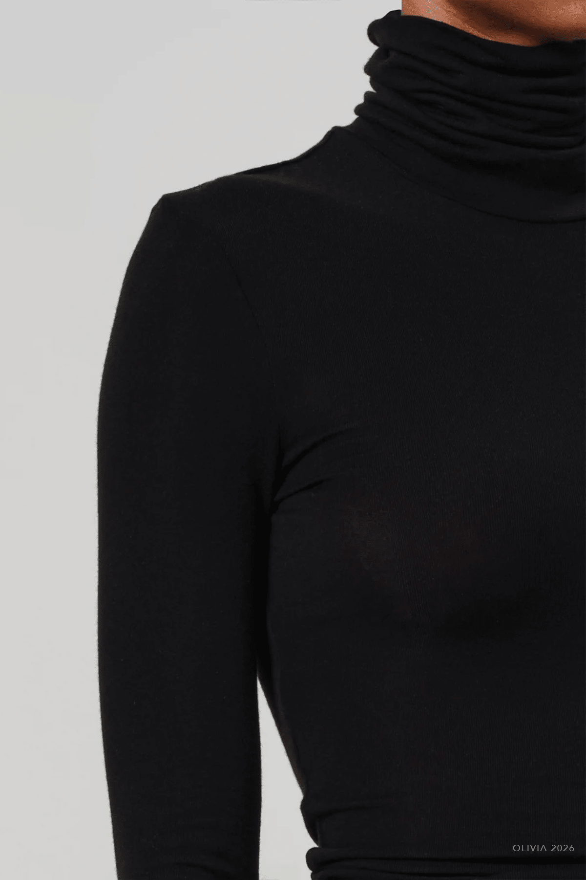 Caradene Turtleneck in Black - shop-olivia.com