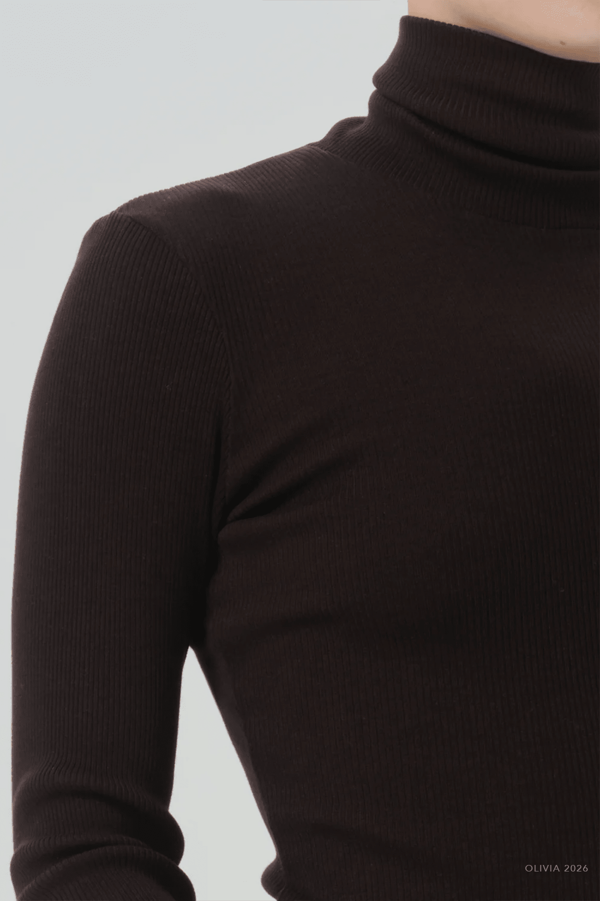 Caradene Turtleneck in Chocolate - shop-olivia.com