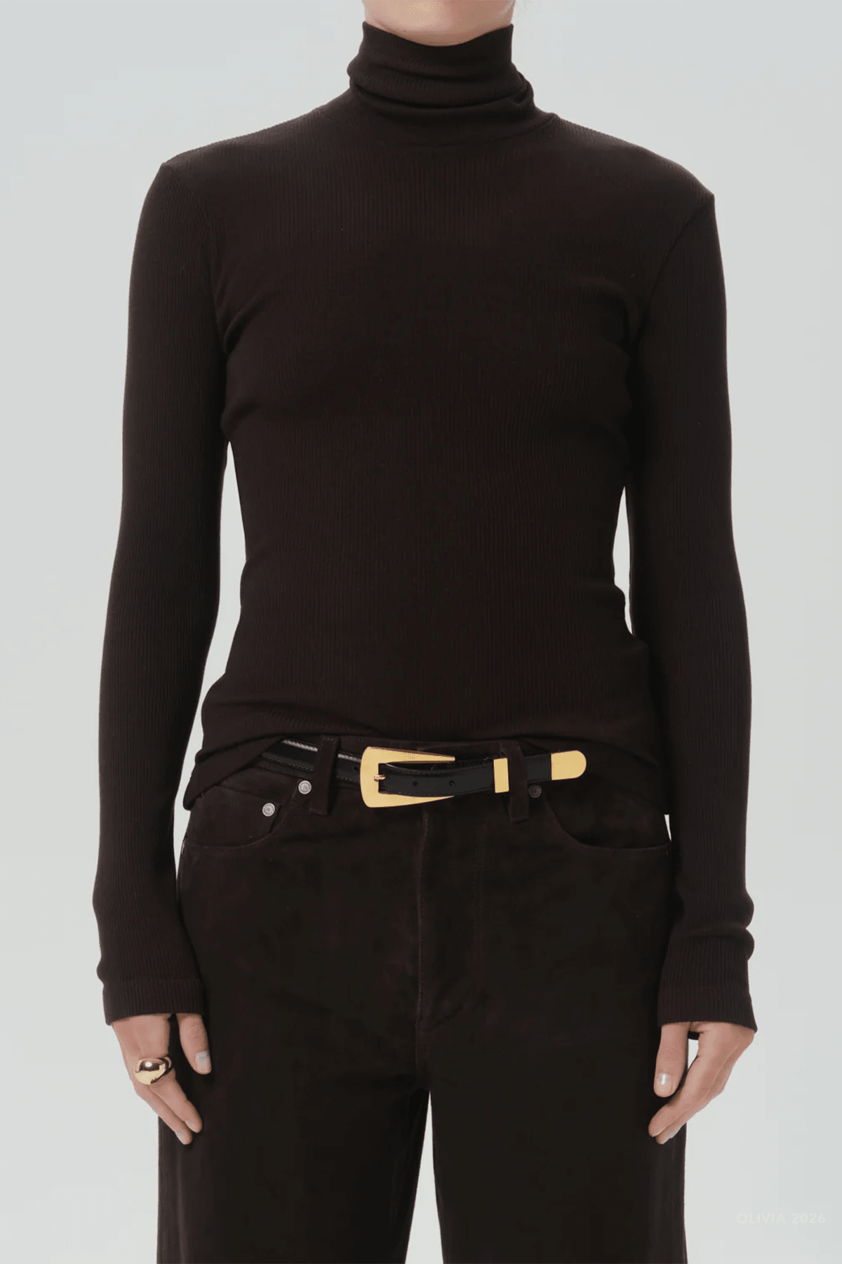 Caradene Turtleneck in Chocolate - shop-olivia.com
