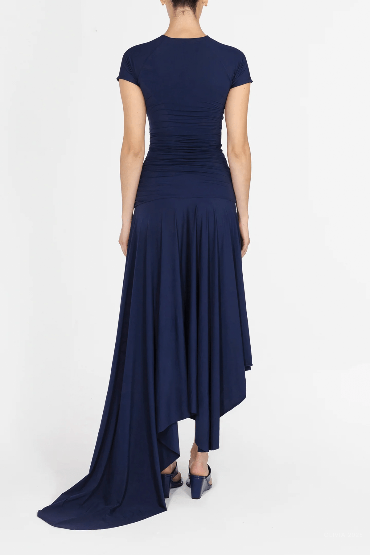 Cardozo Dress in Navy Blue - shop - olivia.com