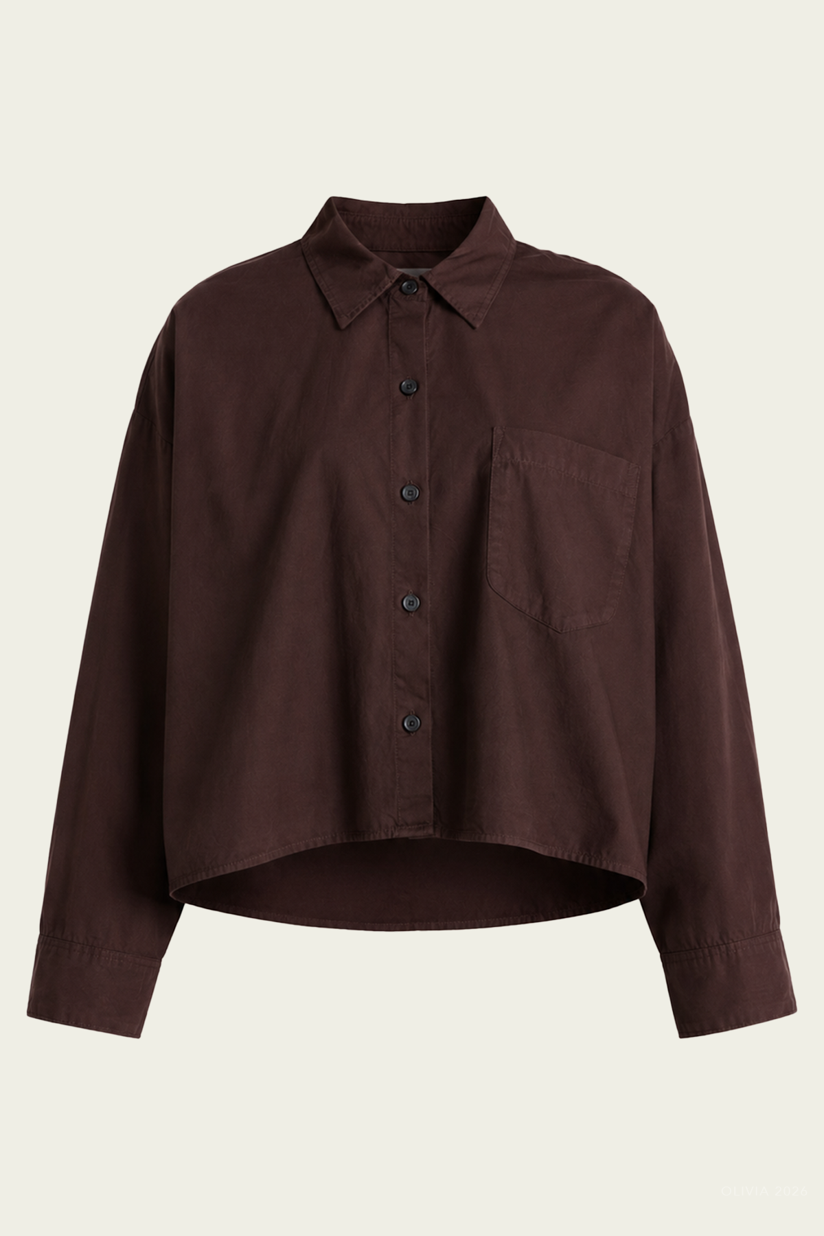 Petit Ami Shirt in Brun