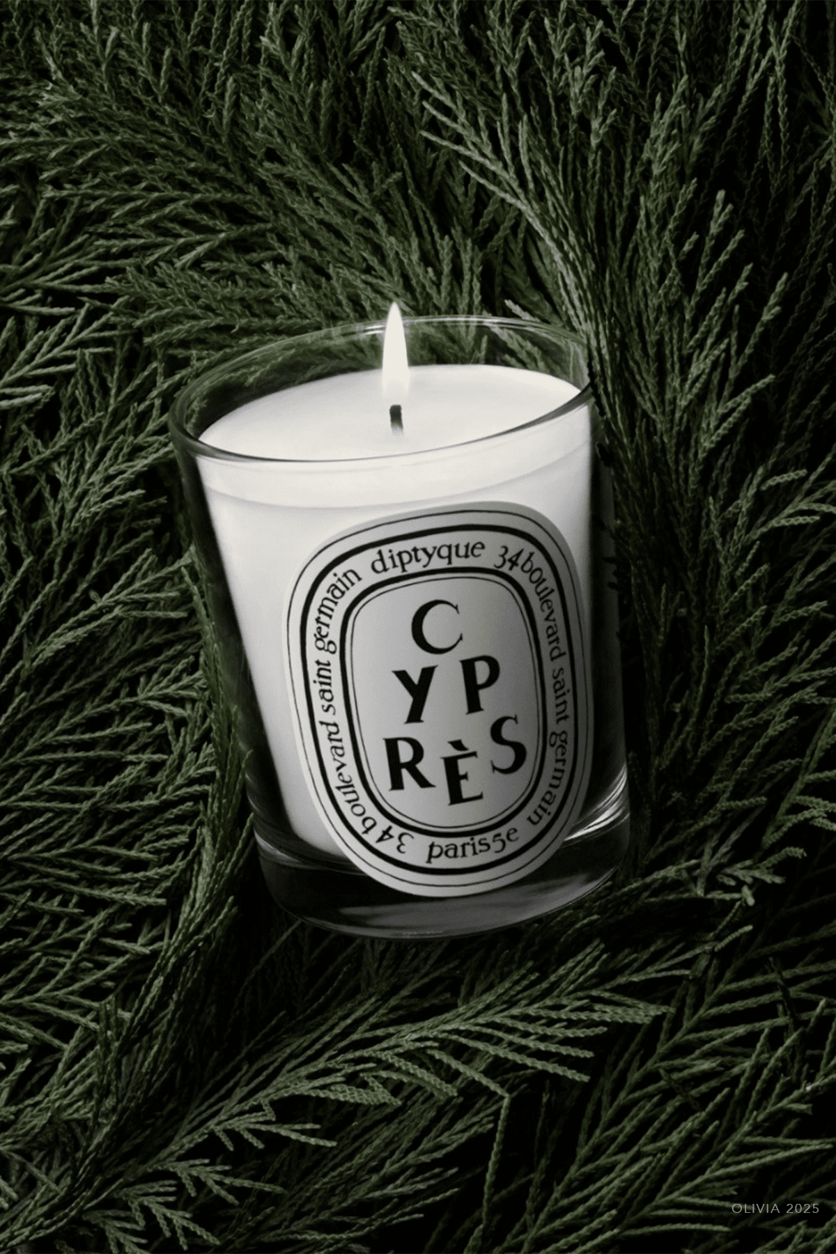 Cypres Classic Candle 6.5oz - shop - olivia.com