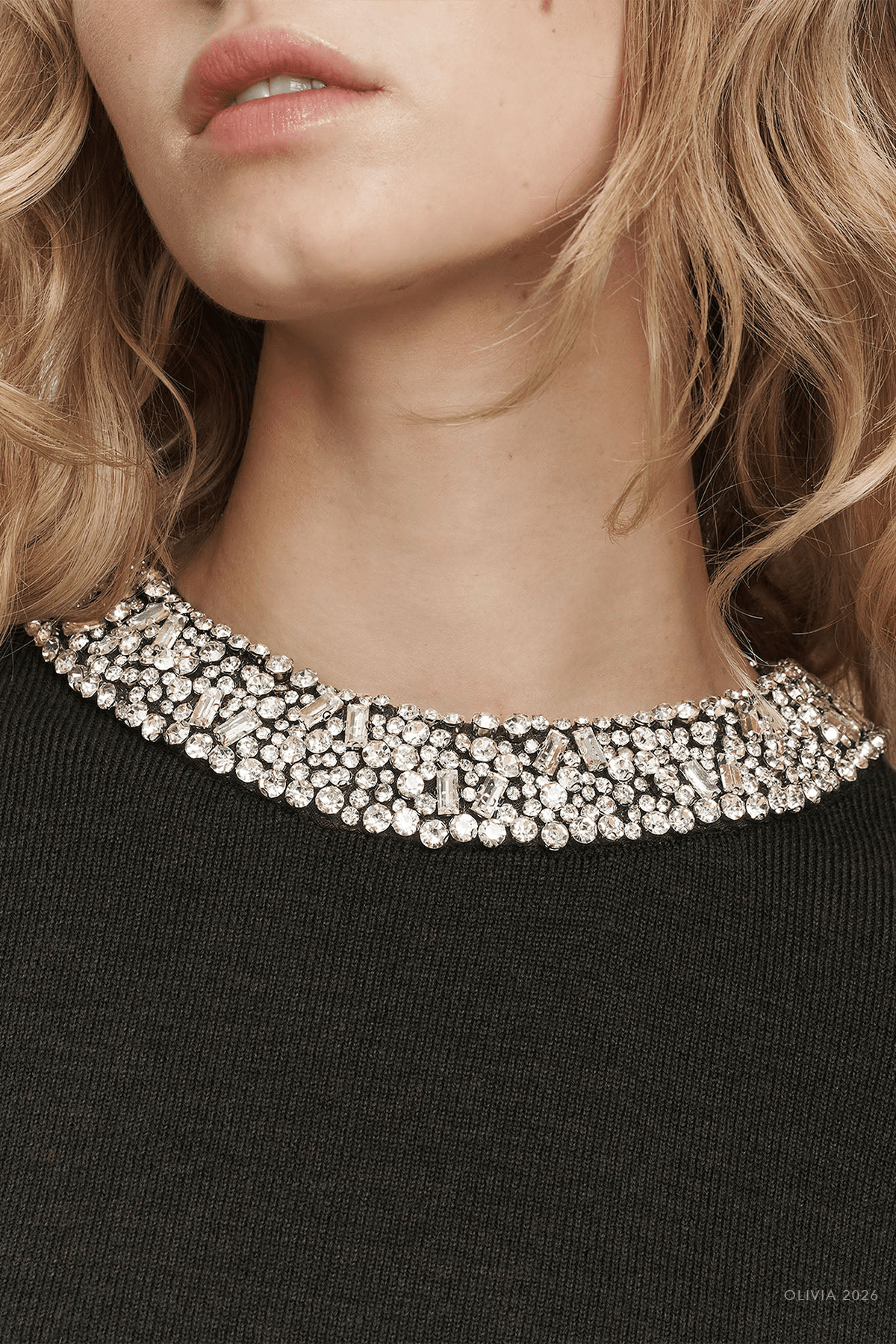 Daro Embellished Sweater in Green Shadow - shop-olivia.com