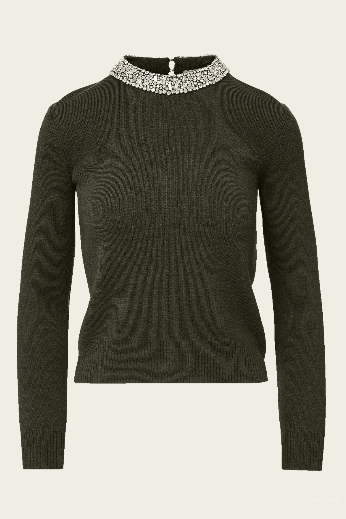Daro Embellished Sweater in Green Shadow - shop-olivia.com