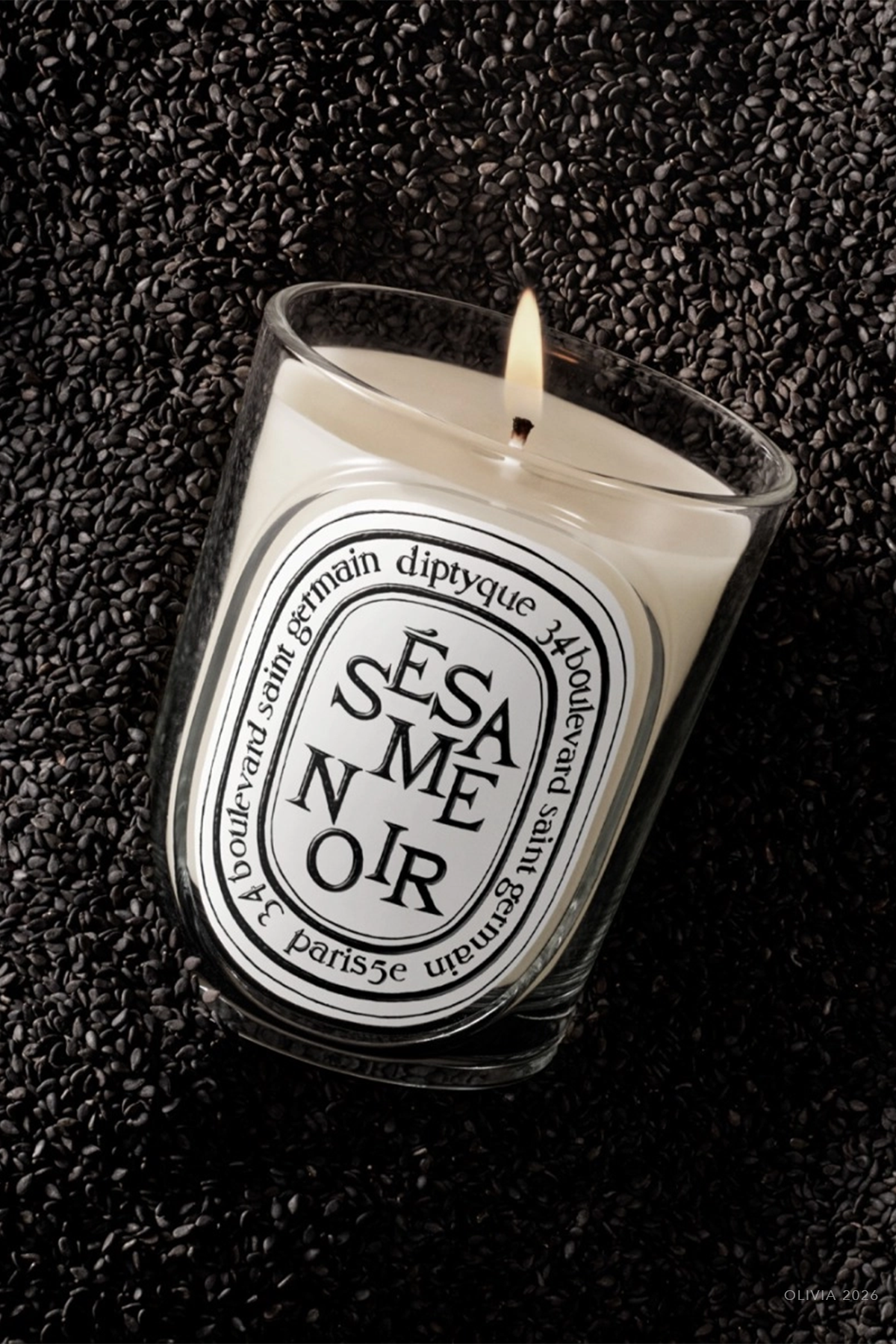 Sesame Noir Classic Candle 6.7oz