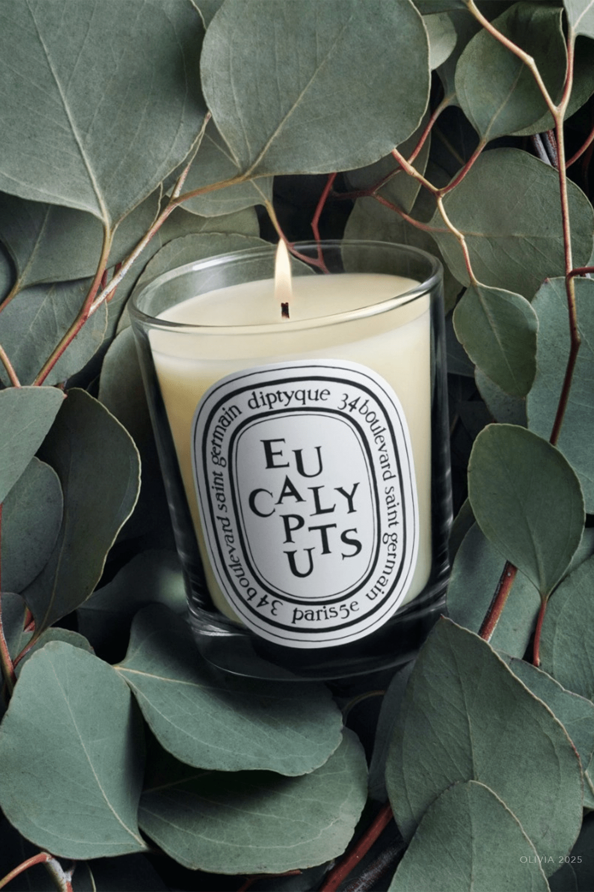 Eucalyptus Classic Candle 6.5oz - shop - olivia.com