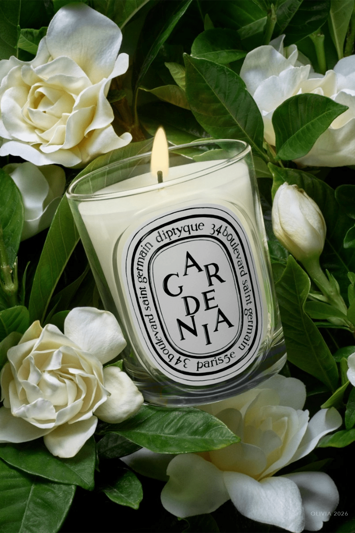 Gardenia Classic Candle 6.7oz - NEW VERSION - shop - olivia.com