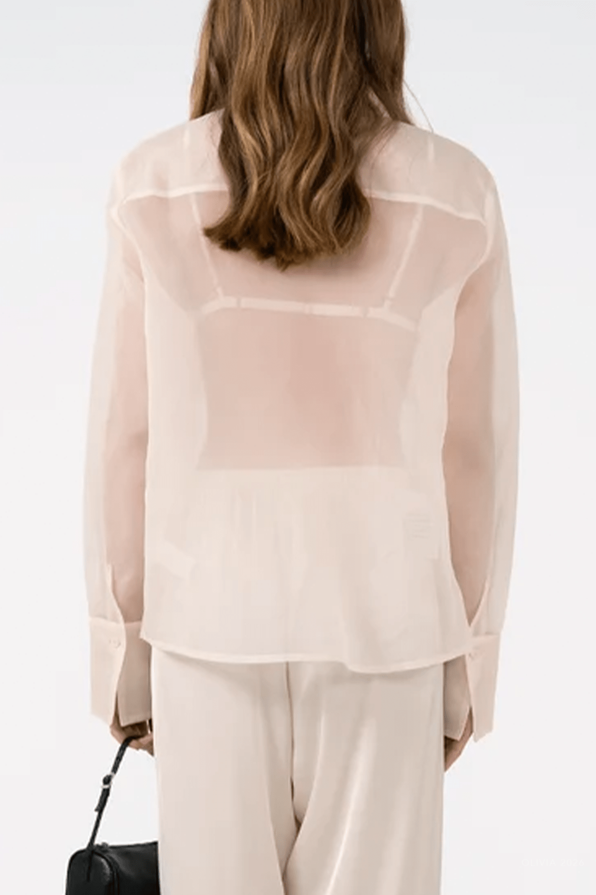 Haze Sheer Blouse in Ivory - shop-olivia.com