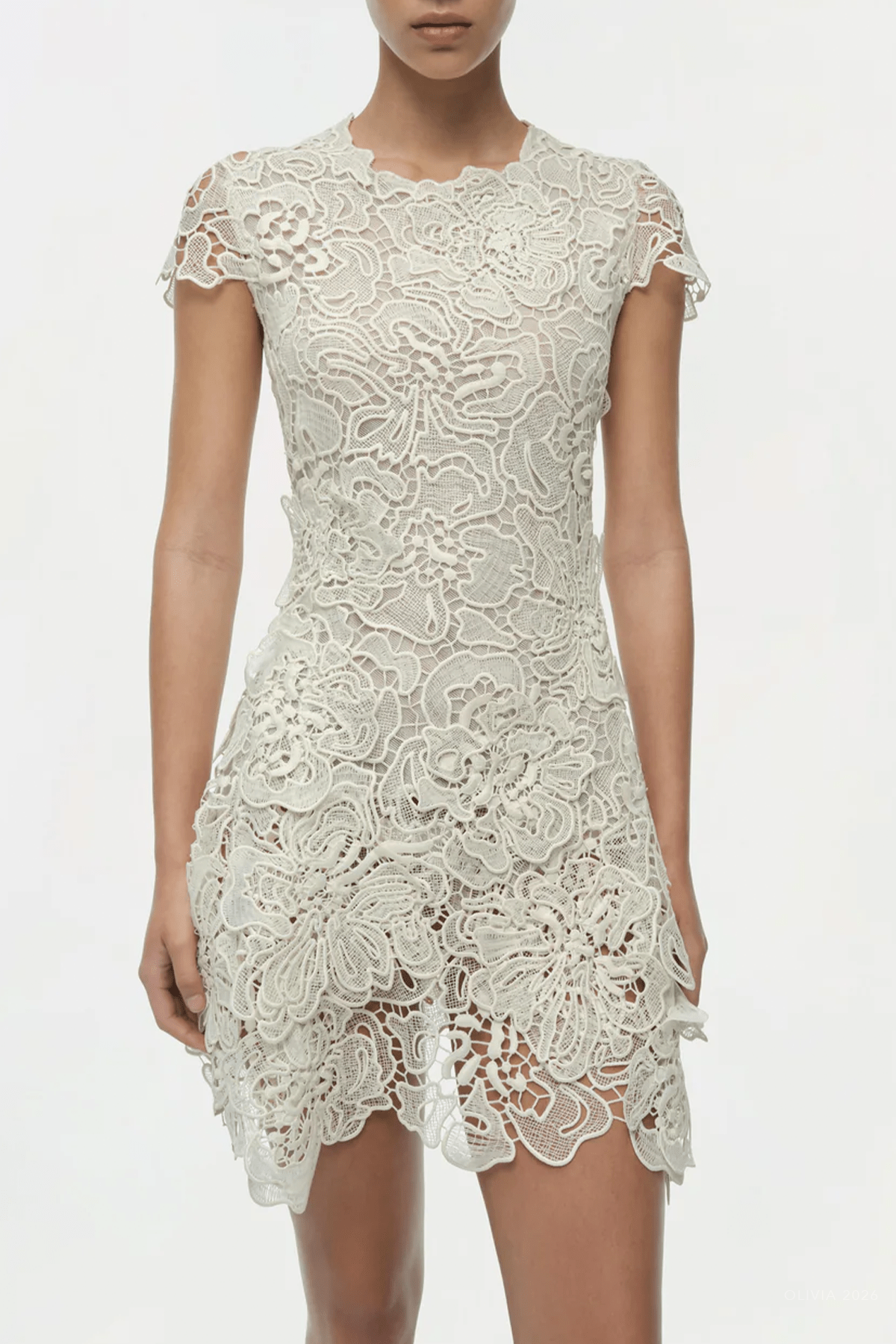 Novelle Lace Mini Dress in White - shop - olivia.com