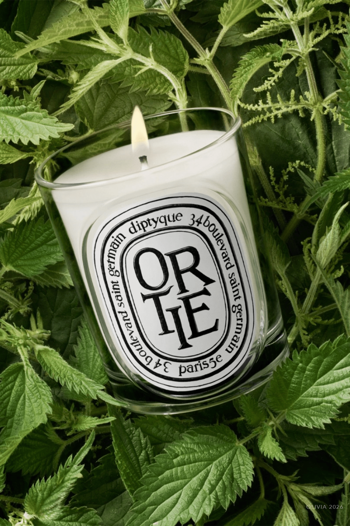 Ortie (Nettle) Classic Candle 6.7oz - shop-olivia.com