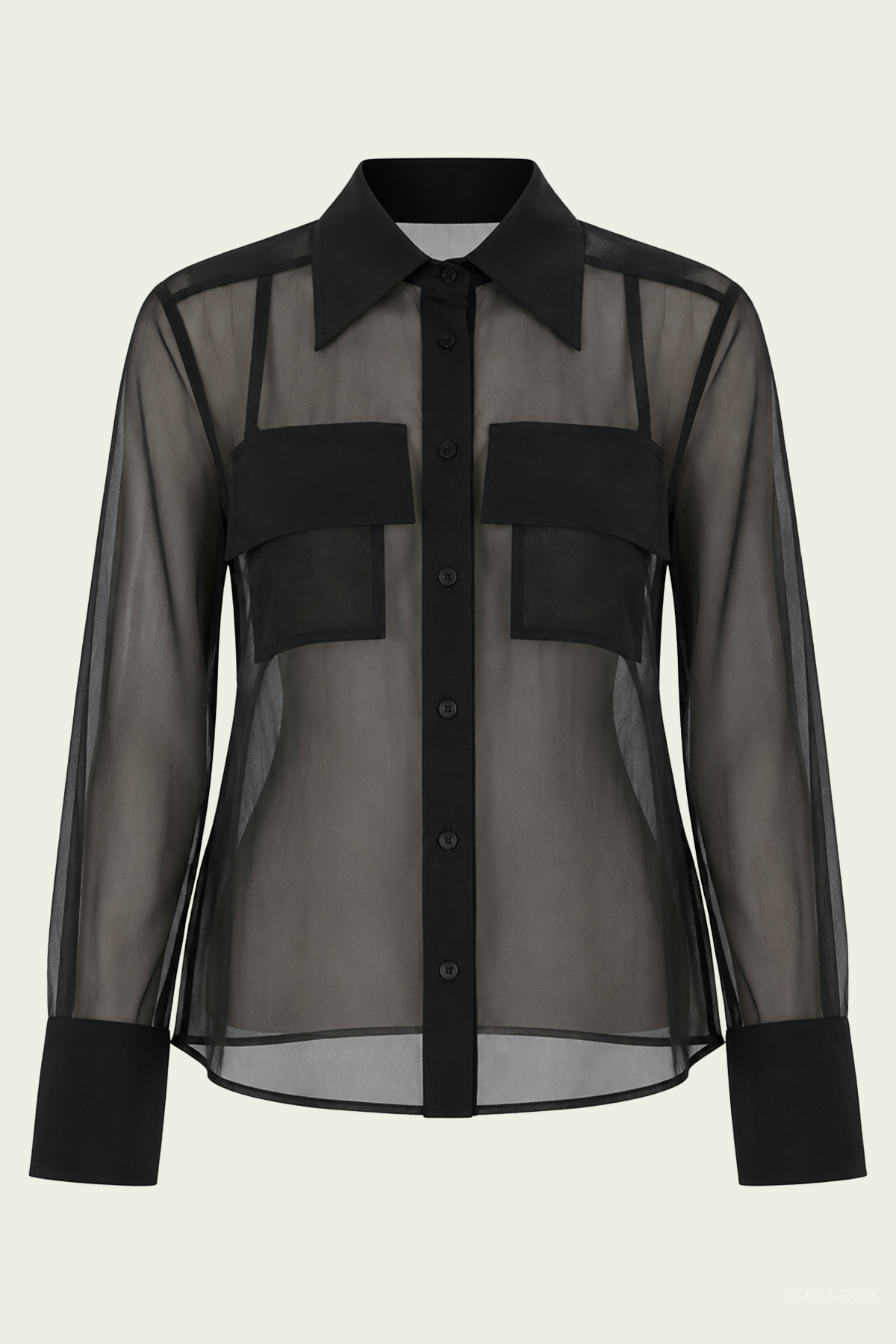 Haze Sheer Blouse in Black