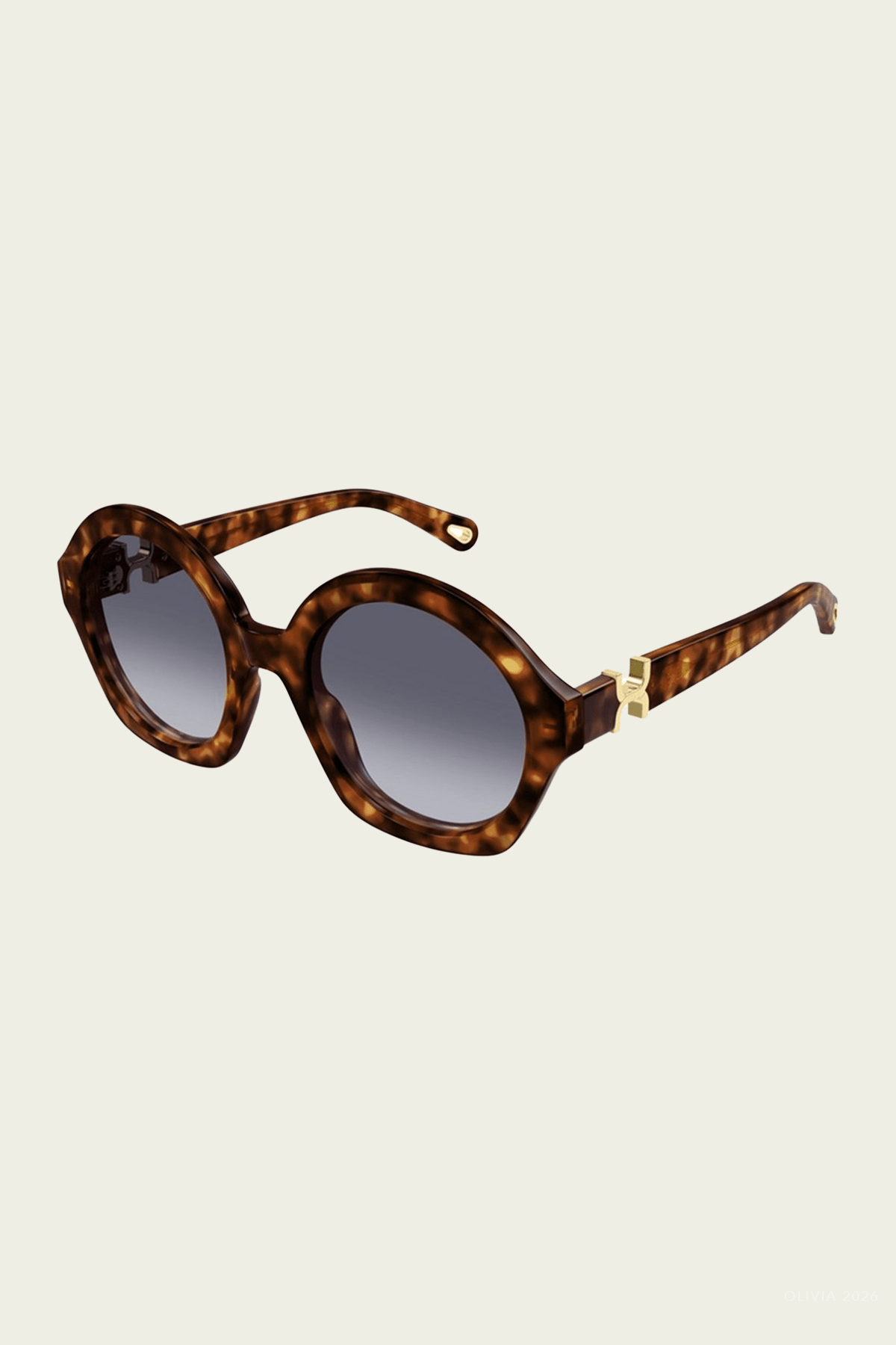 Round Modern Sunglasses in Havana - shop-olivia.com