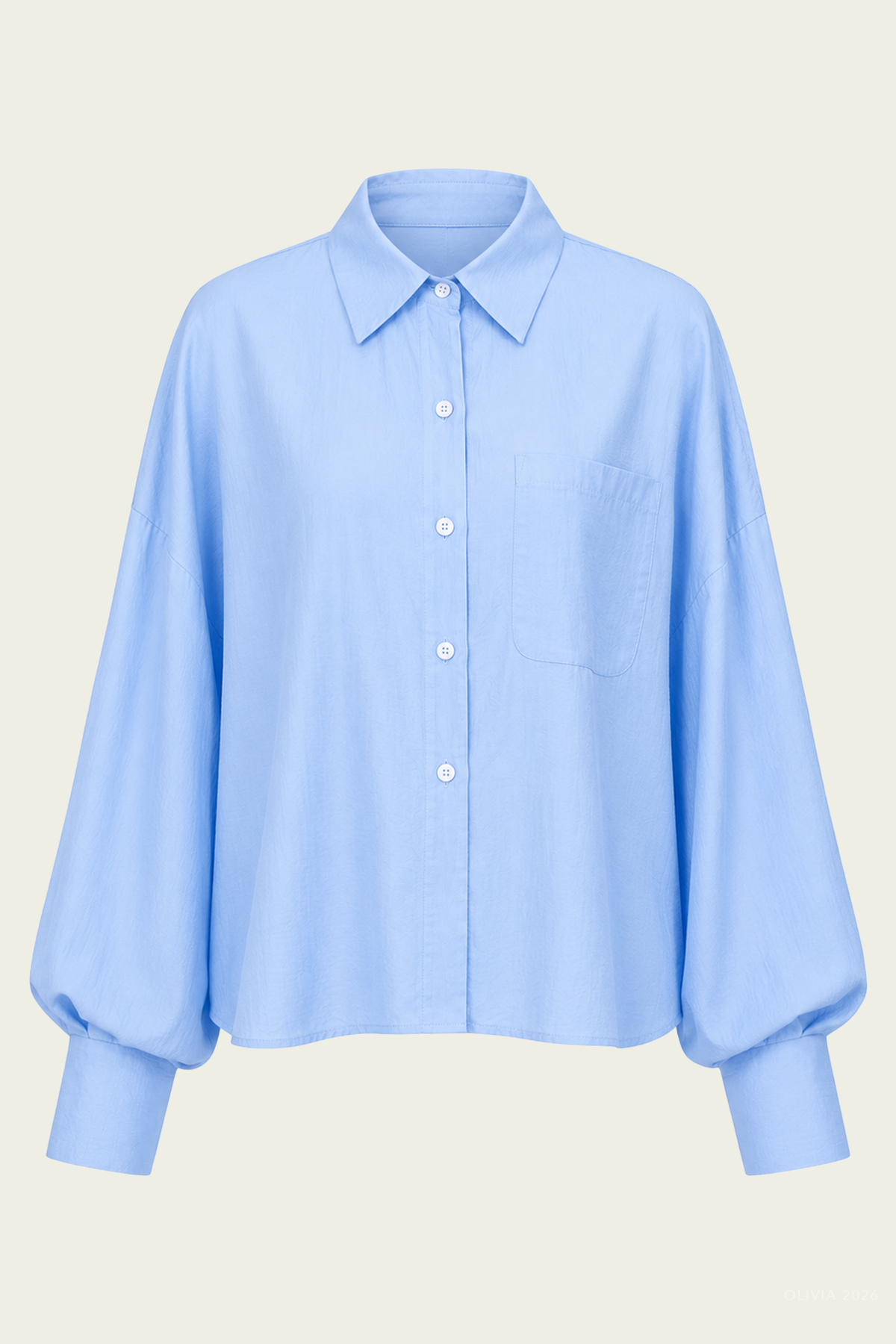 Lois Shirt in Blue