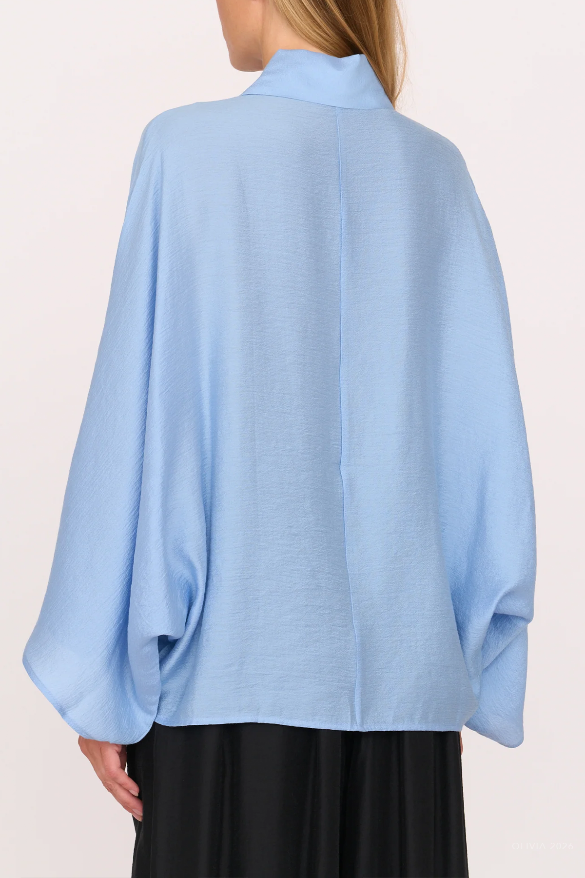 Lois Shirt in Blue