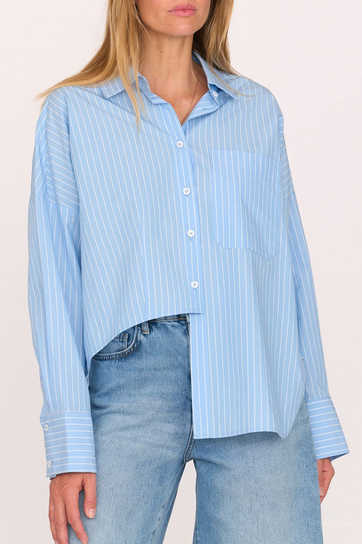 Carter Shirt in Blue Stripe