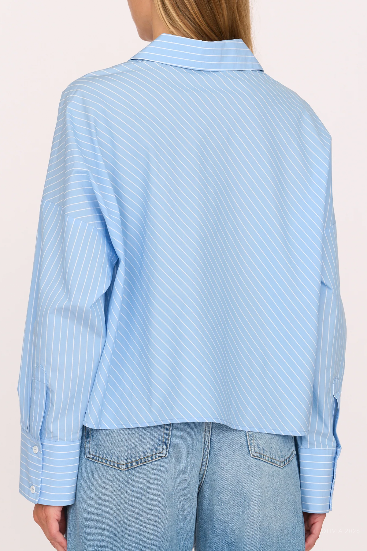 Carter Shirt in Blue Stripe