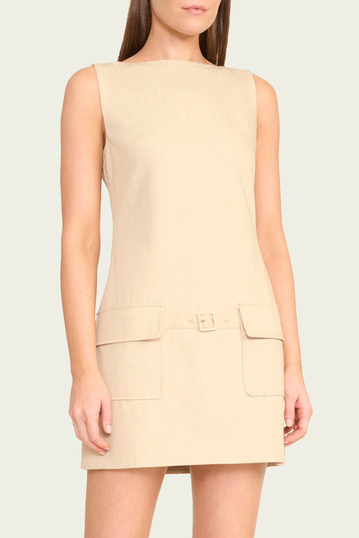 Sheila Dress in Tan Pinestripe - shop - olivia.com