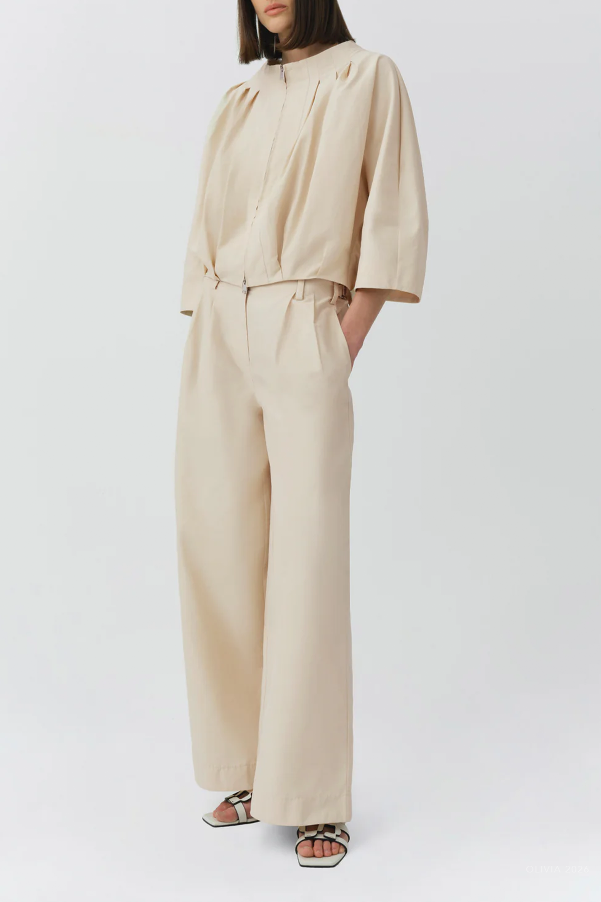 Leroy Pleated Wide Leg Pant in Stone