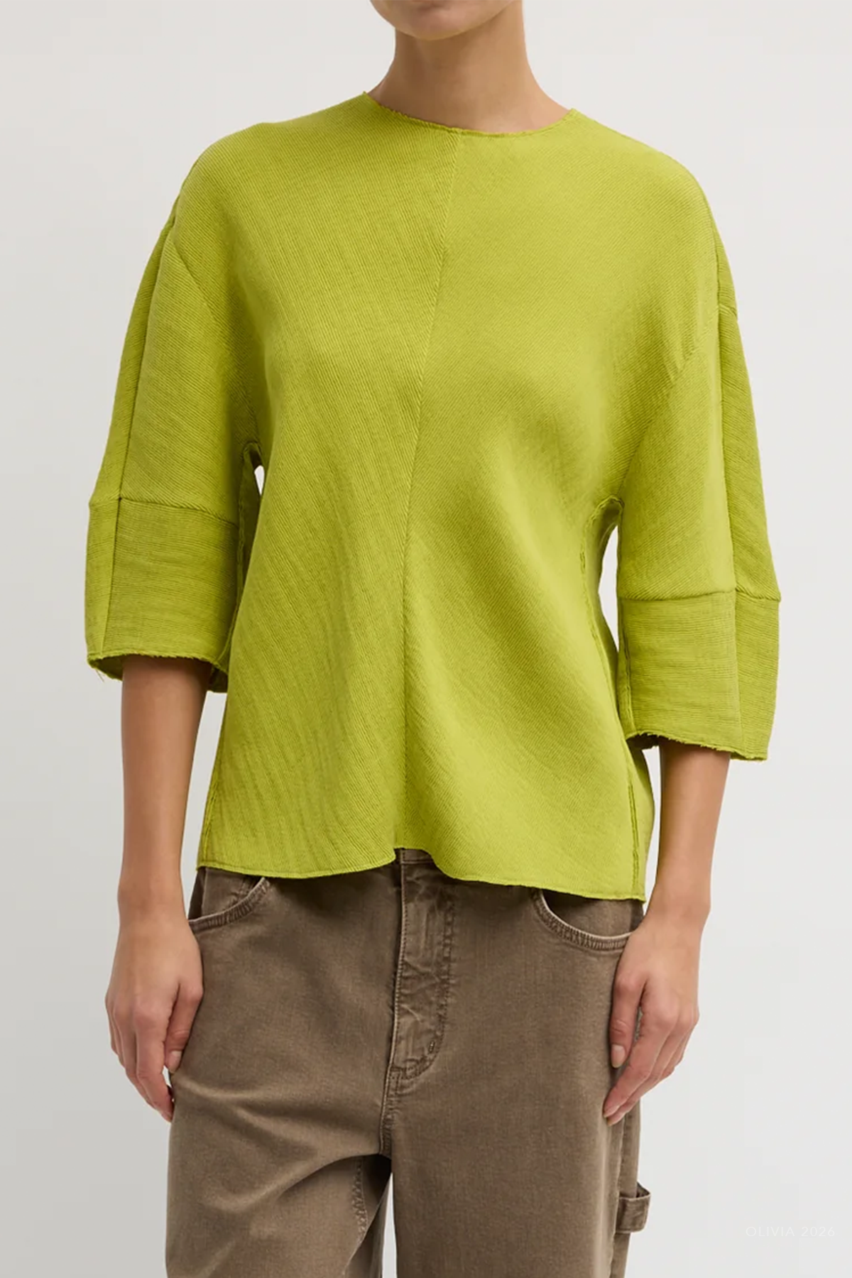 Viscose Plisse Hinged Short Sleeve Top in Pea Pod