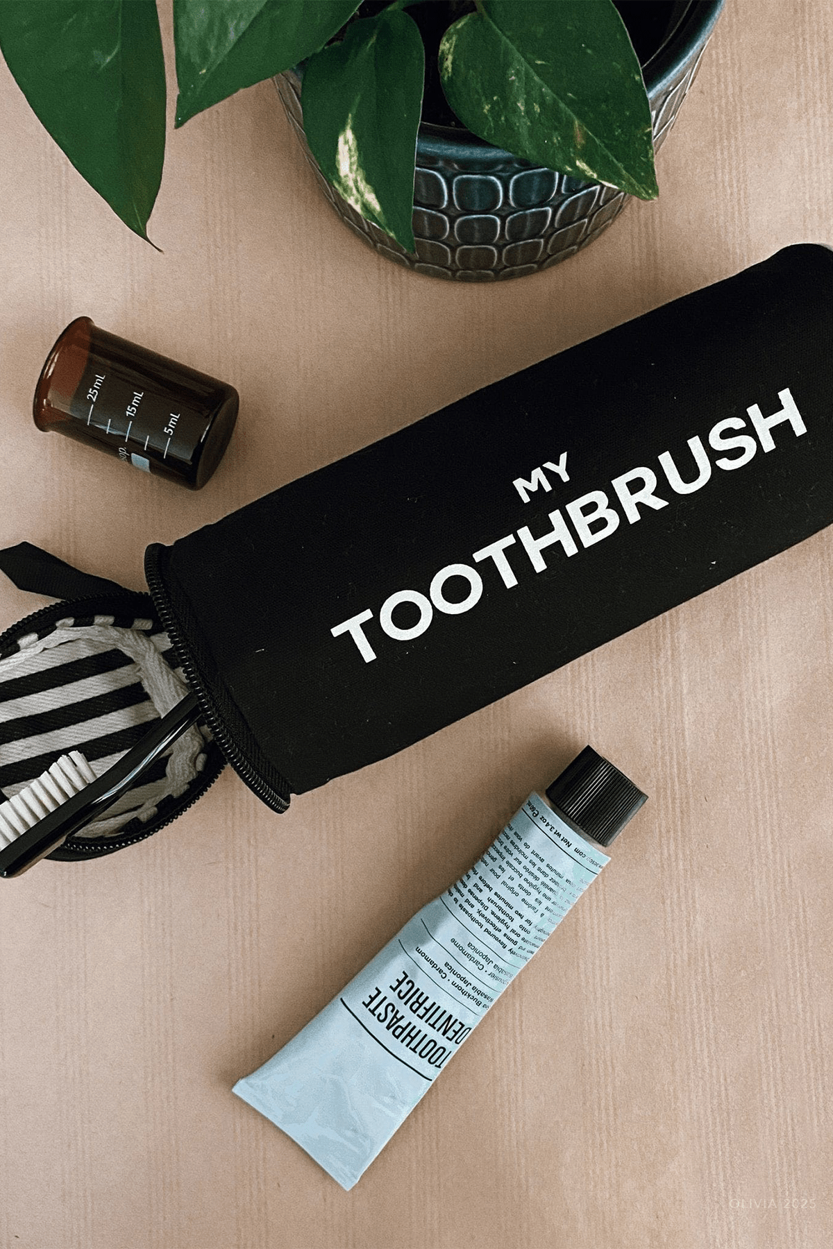 Toothbrush Travel Case in Black - shop - olivia.com