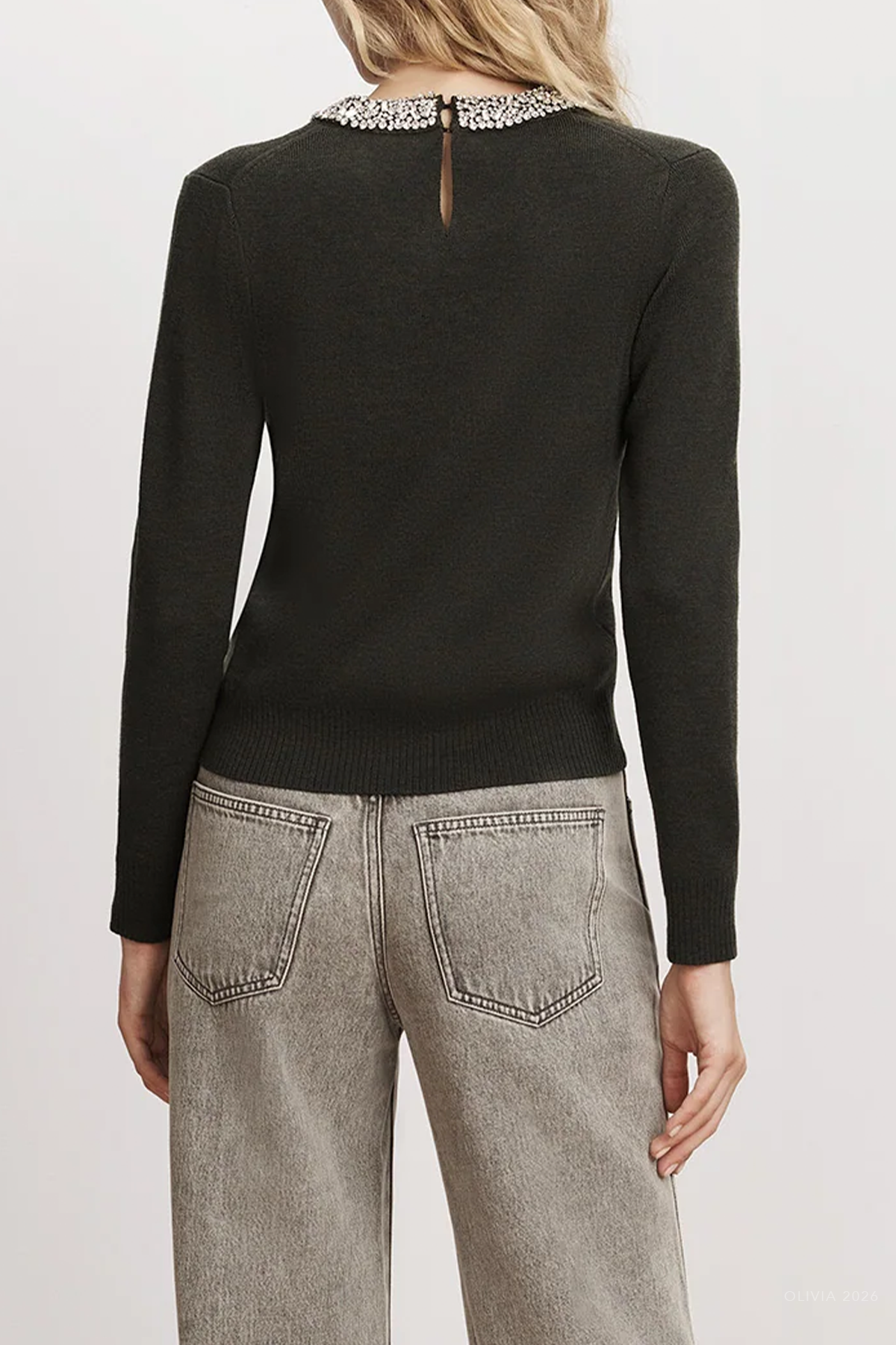 Daro Embellished Sweater in Green Shadow