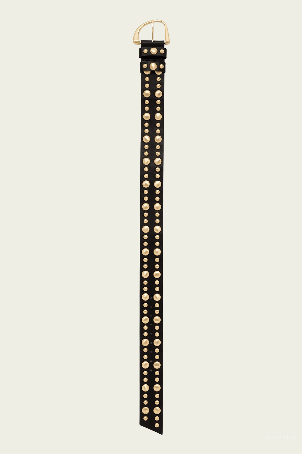 Zoe Belt in Black - shop-olivia.com
