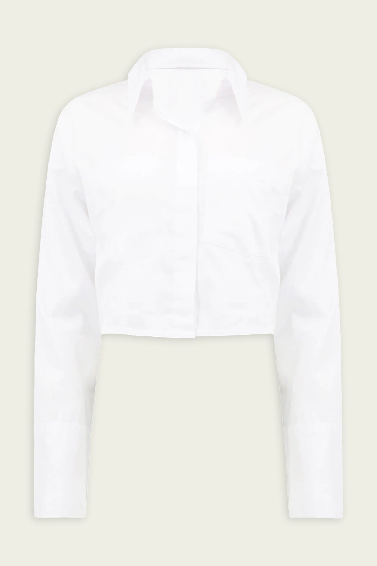 Bea Crop Top in White - shop-olivia.com