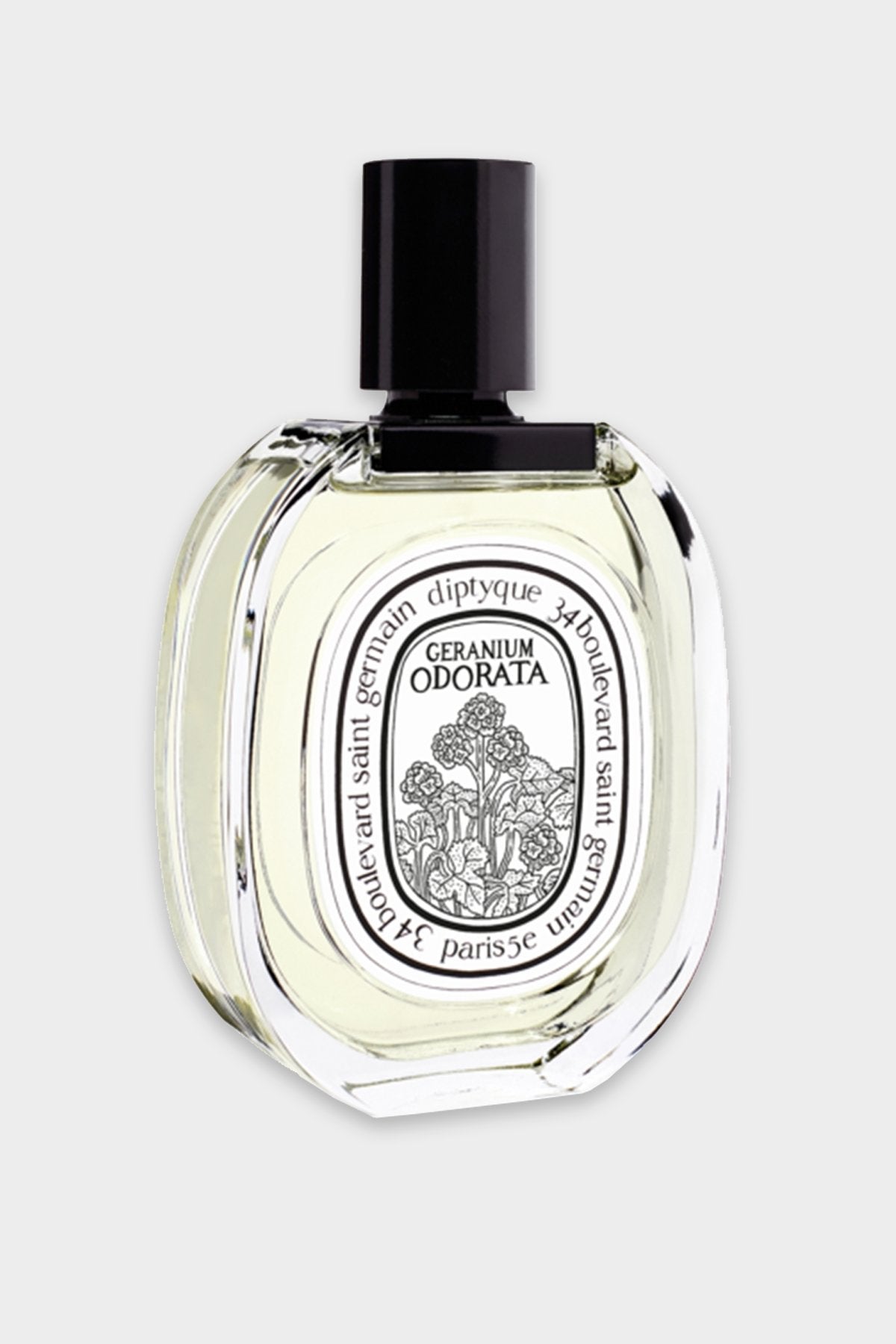 Geranium Odorata Eau de Toilette 3.4 fl.oz - shop-olivia.com