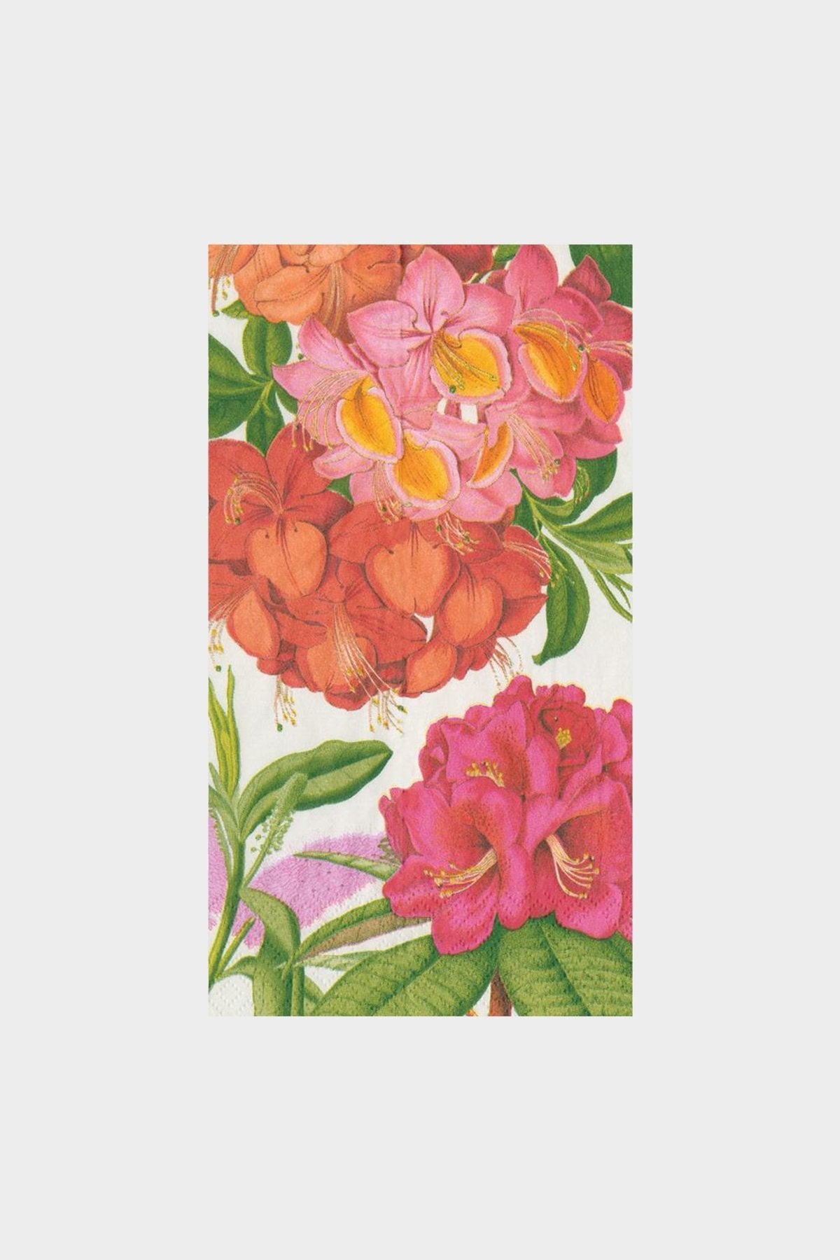 Jefferson's Garden Study Paper Guest Towel Napkins in White - shop-olivia.com