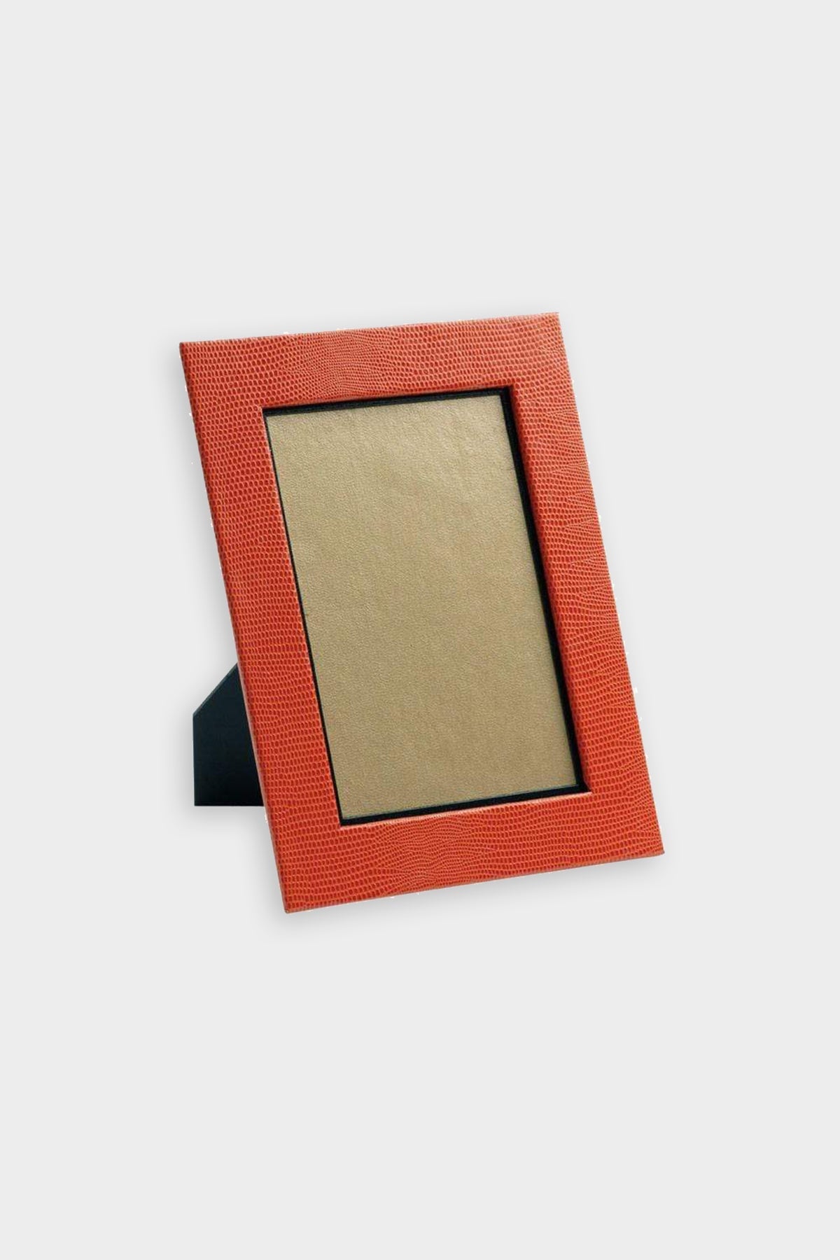 Lizard 4" x 6" Picture Frame in Orange - shop-olivia.com