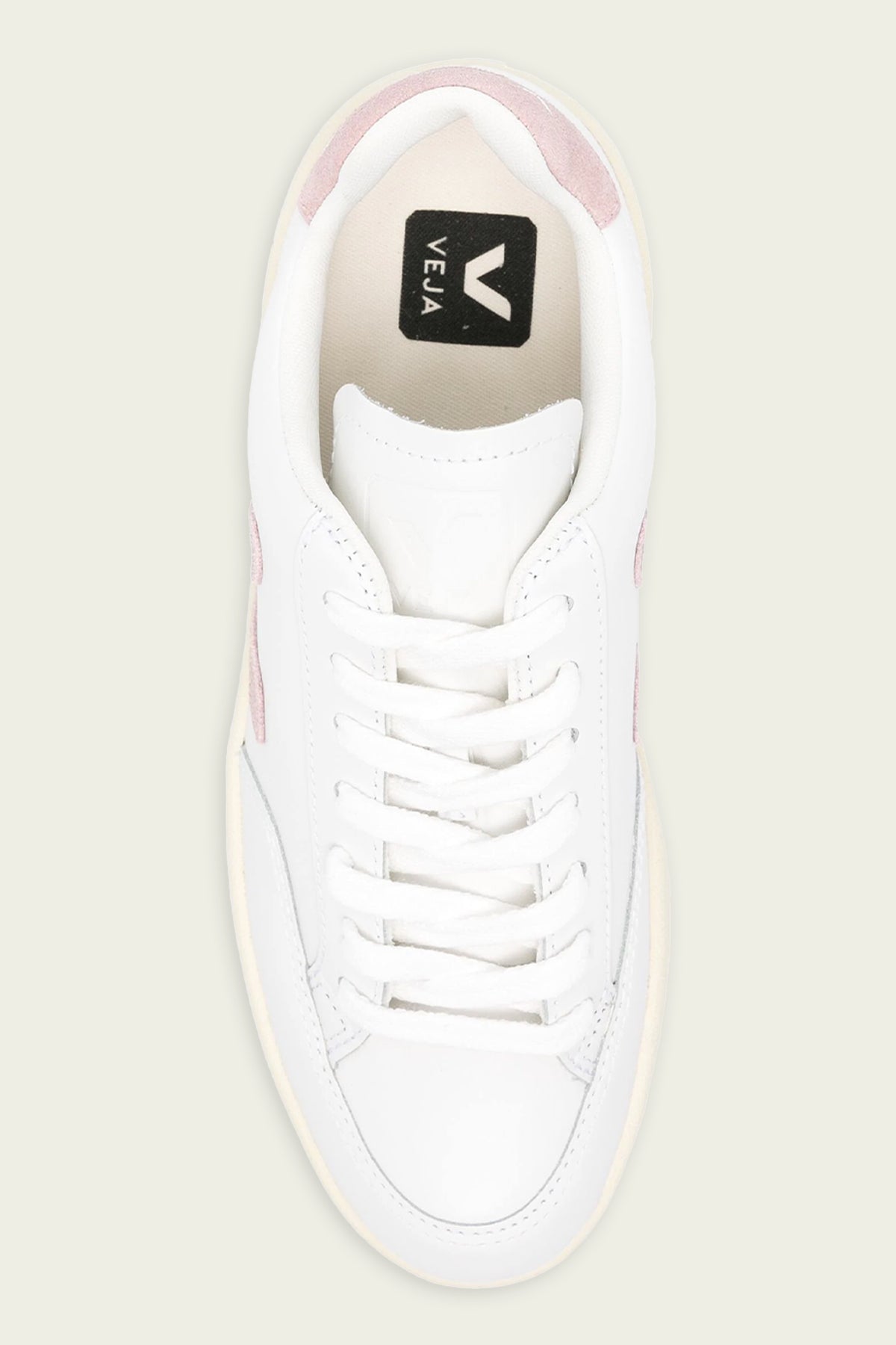V-12 Leather Sneaker in White Babe - shop-olivia.com
