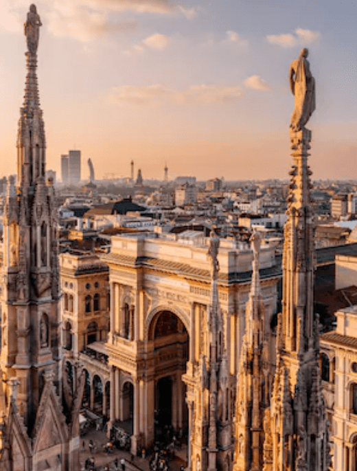 MILAN - shop-olivia.com