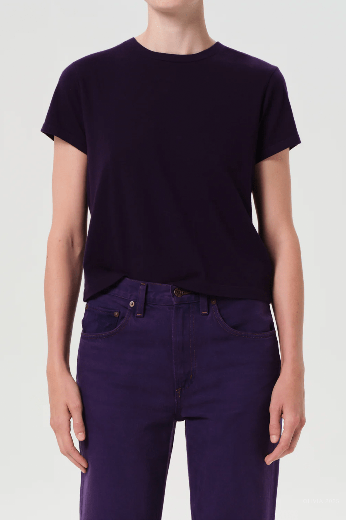 Adine Shrunken Tee in Cordial - shop - olivia.com