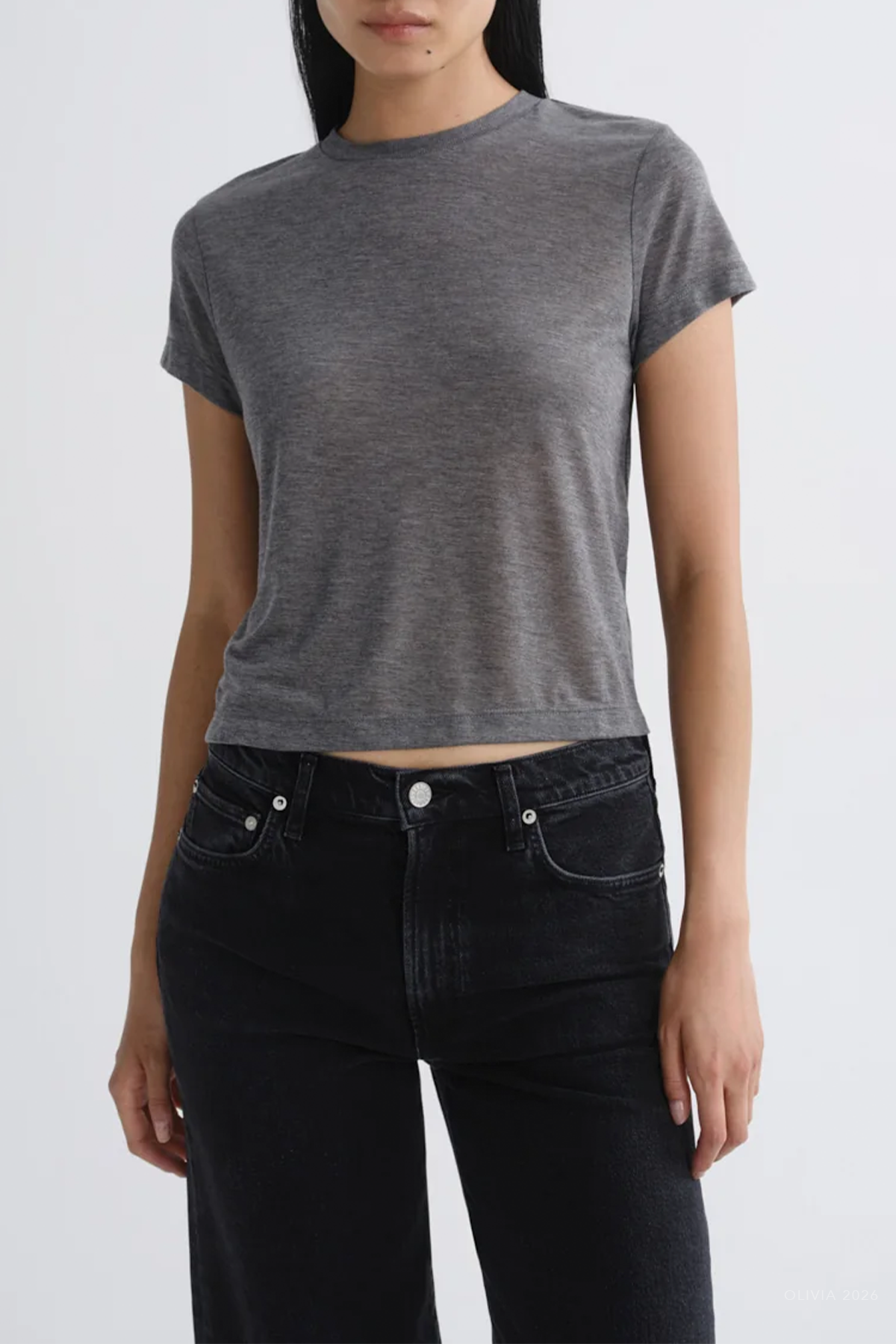 Adine Shrunken Tee (Tencel Jersey) in Grey Heather