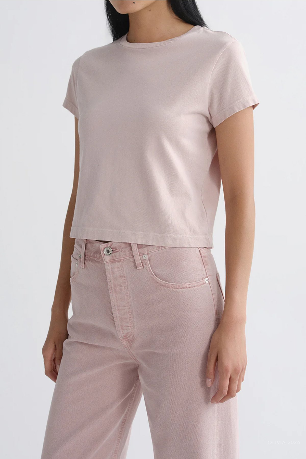 Adine Shrunken Tee in Wallflower