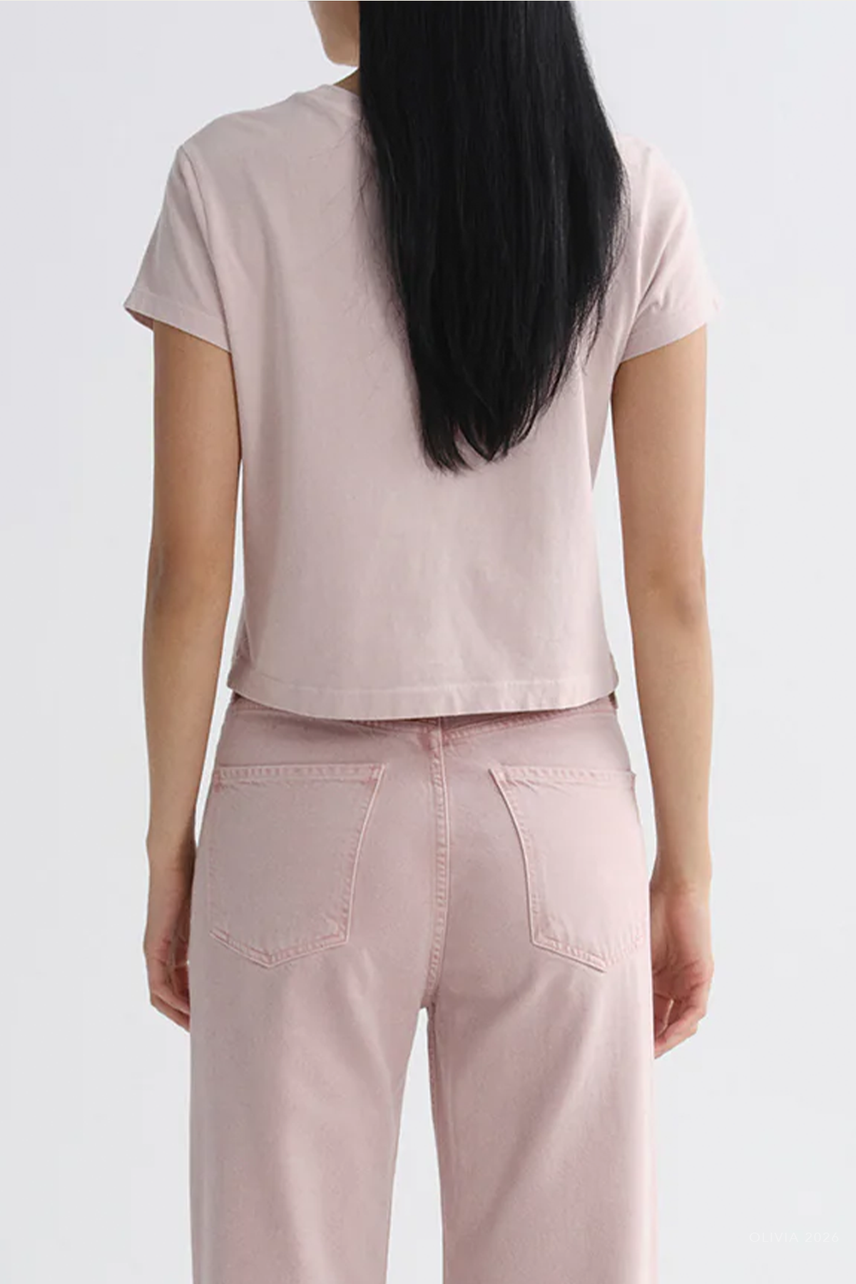 Adine Shrunken Tee in Wallflower