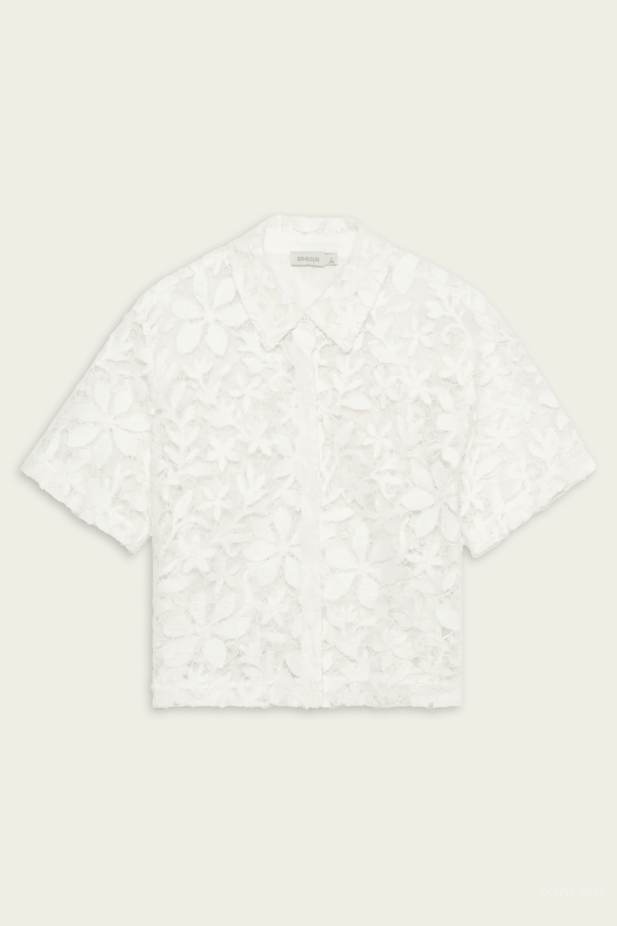 Annaelle Cotton Lace Top in White - shop - olivia.com