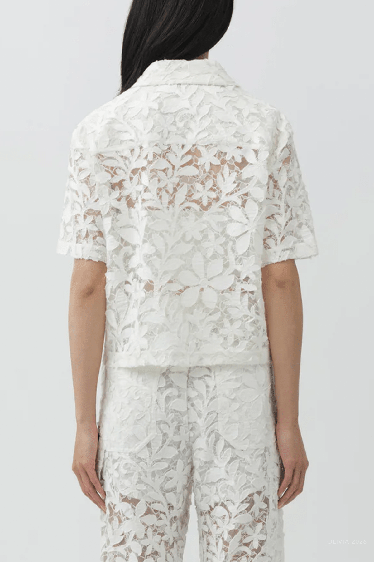 Annaelle Cotton Lace Top in White - shop - olivia.com