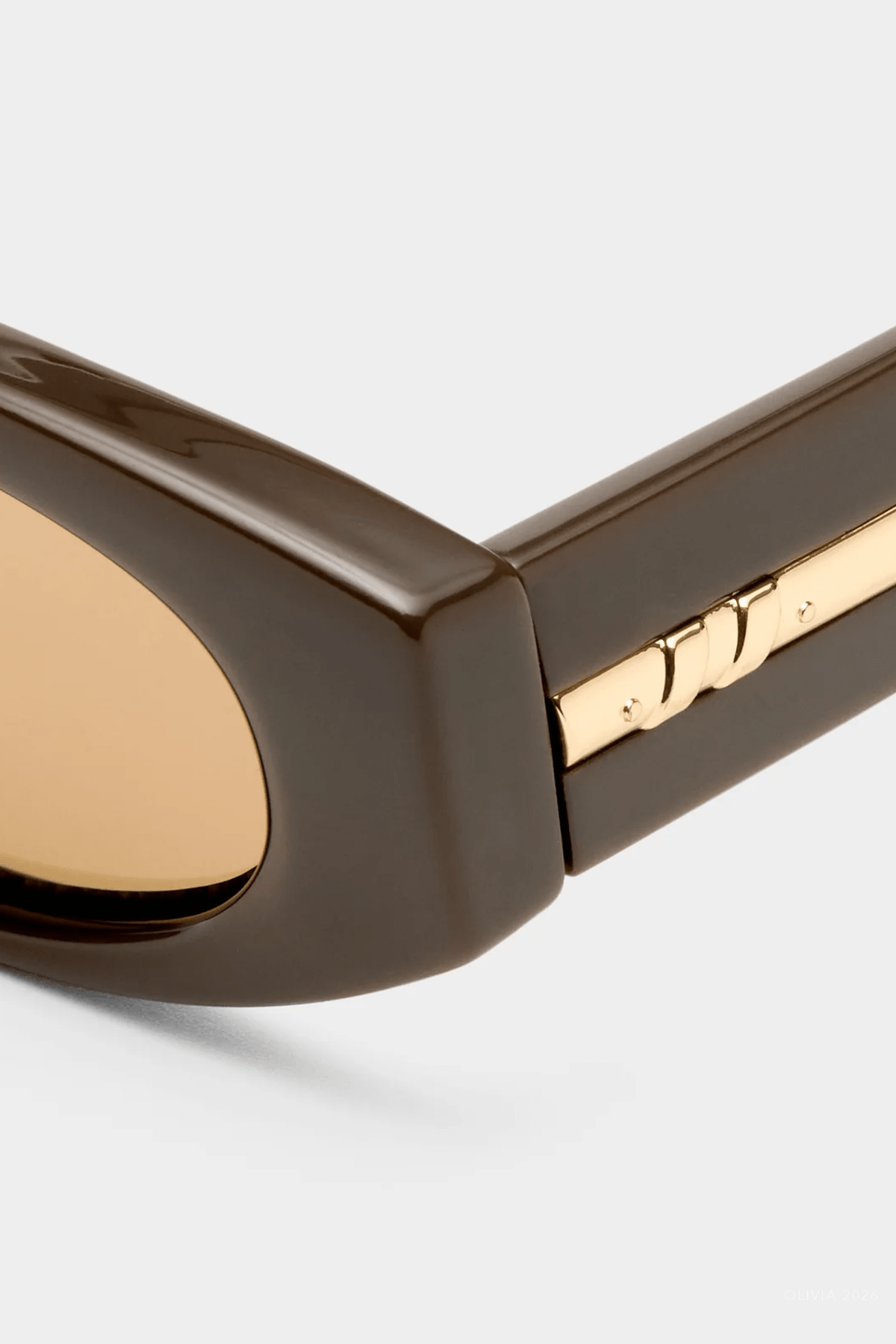 Belladonna Oval Sunglasses in Cocoa - shop-olivia.com