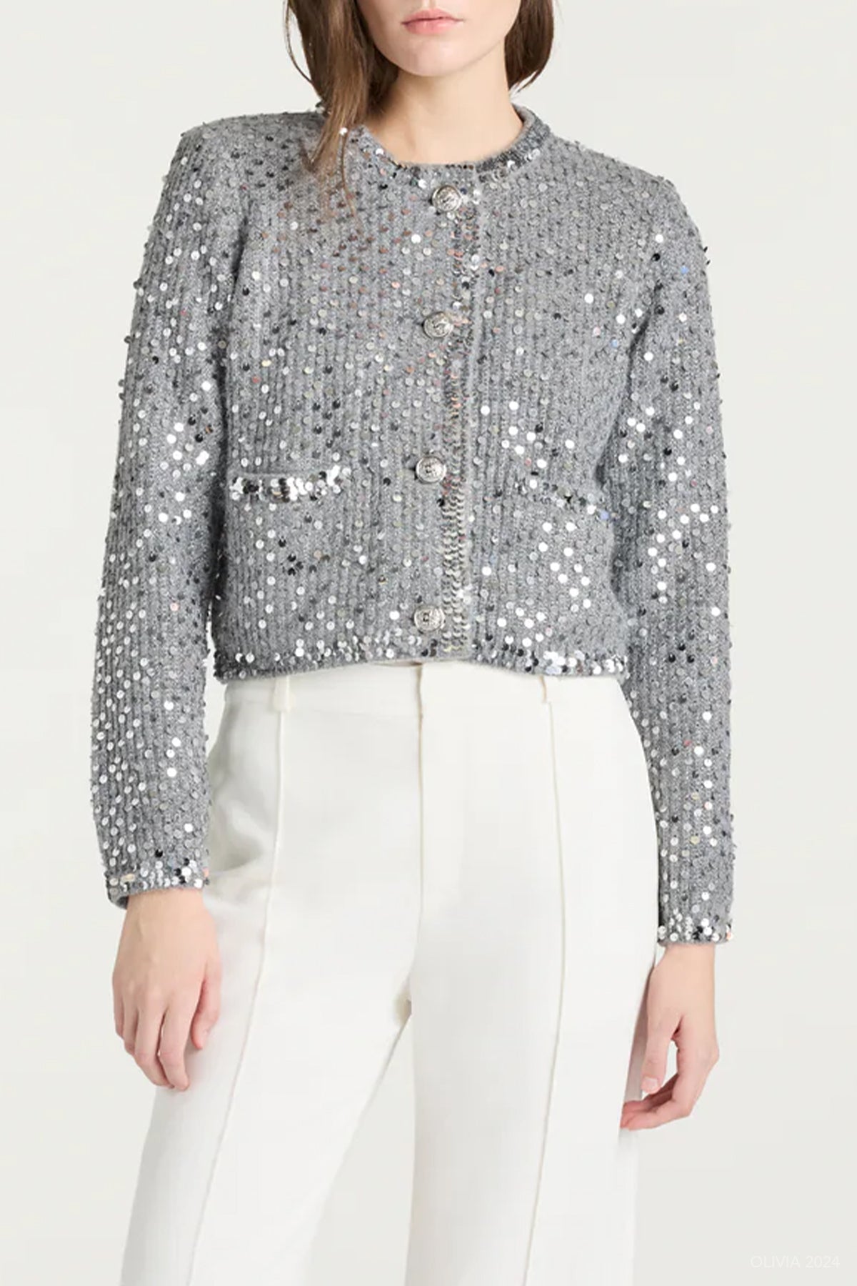 Benoit Embellished Jacket in Silver - shop - olivia.com