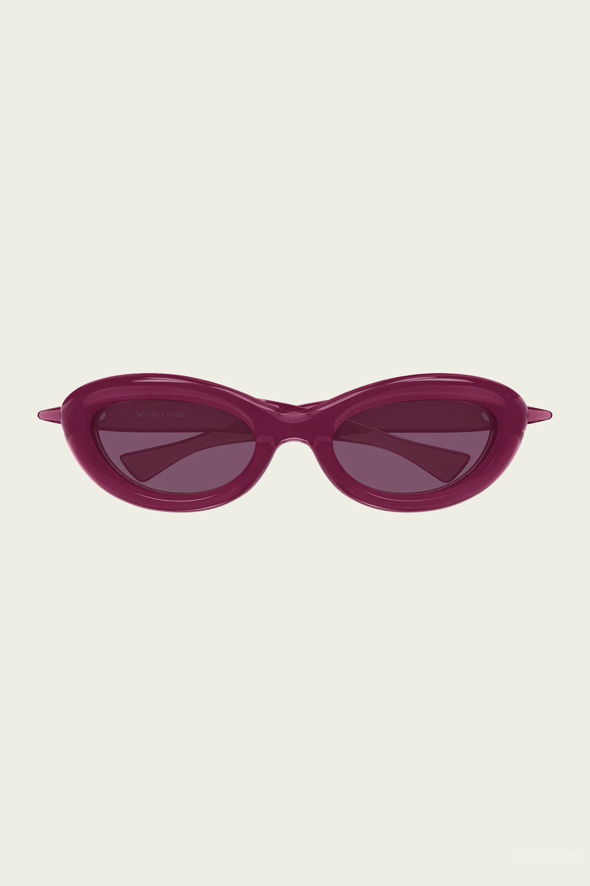Cat-Eye Modern Sunglasses in Shiny Burgundy