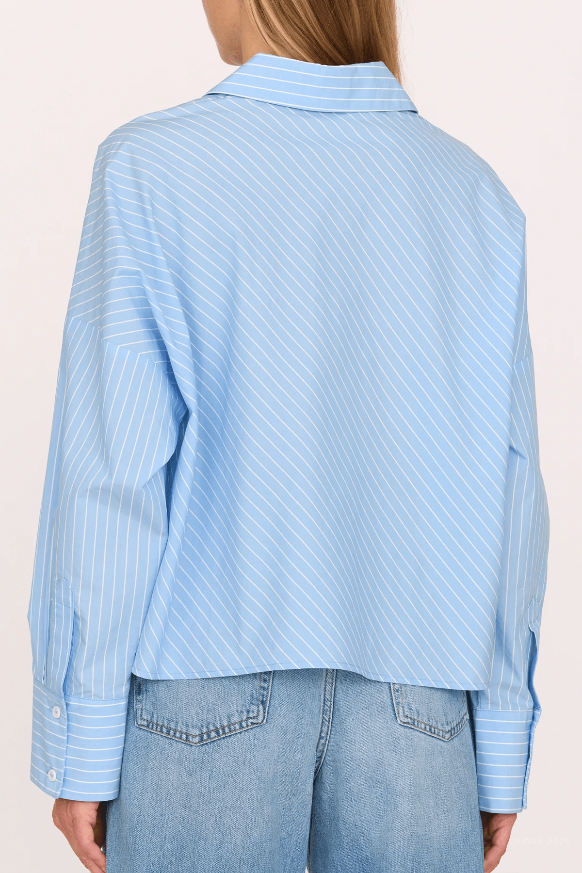 Carter Shirt in Blue Stripe - shop-olivia.com
