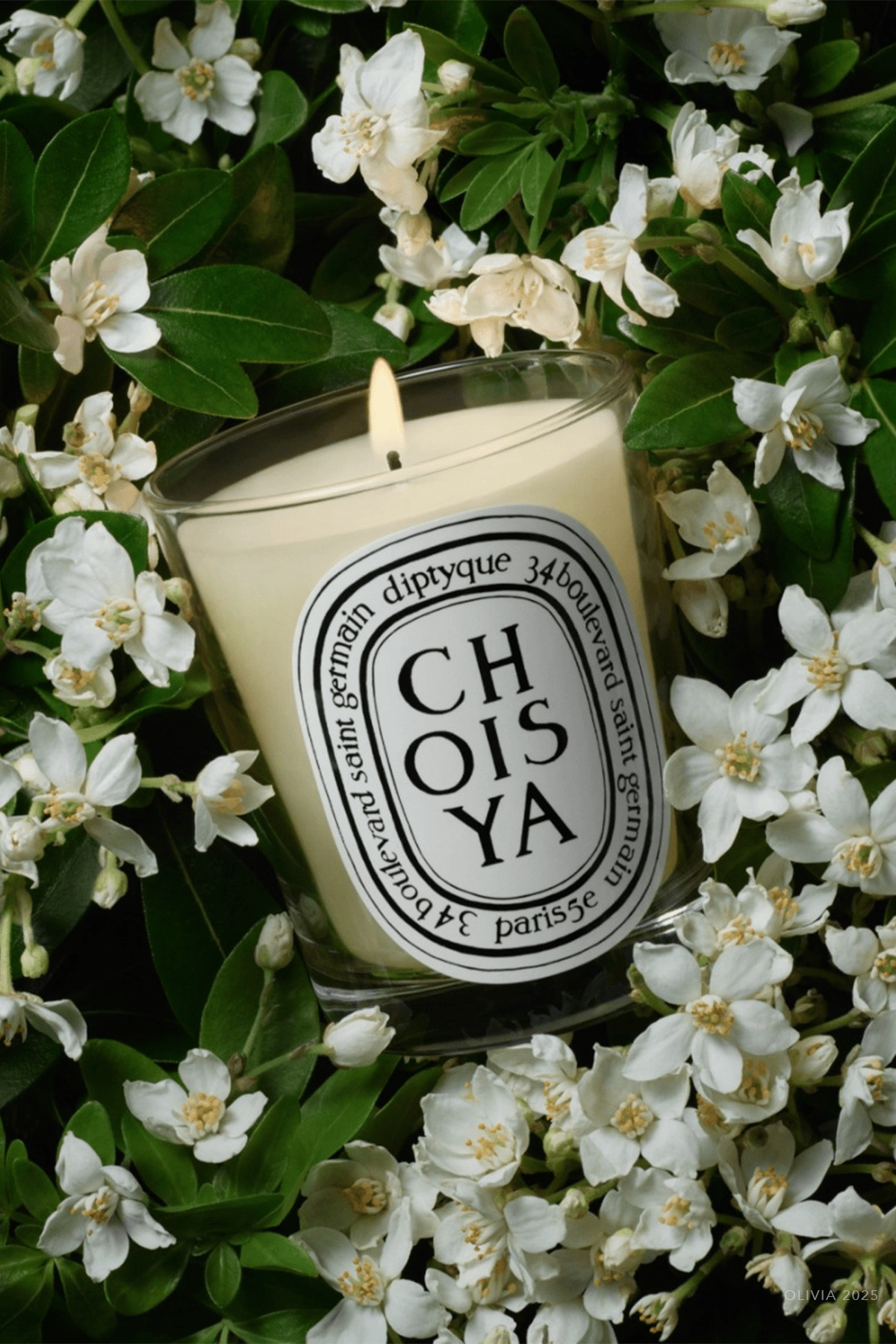 Choisya Classic Candle 6.5oz - shop - olivia.com