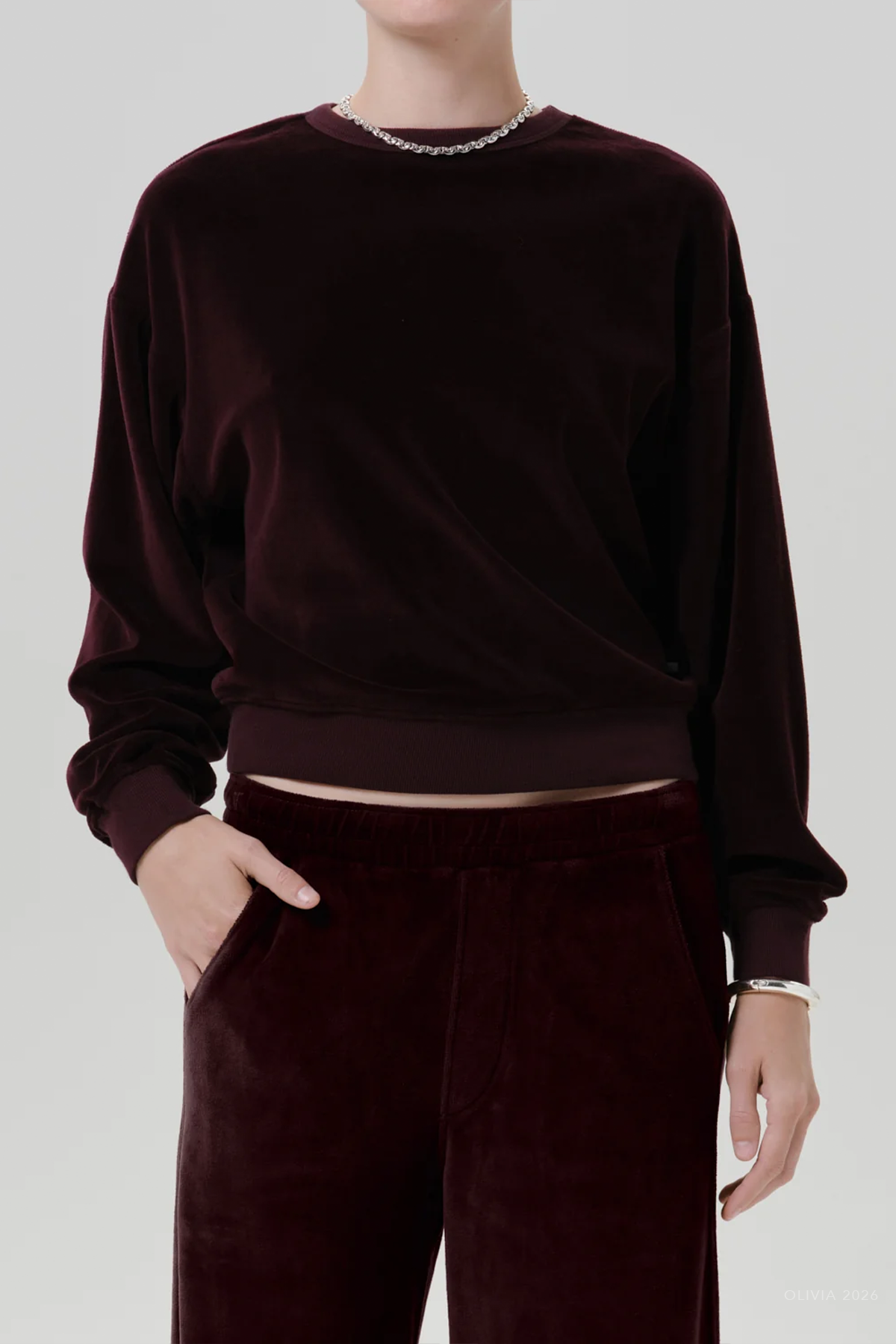 Vintage Velour Crewneck in Burgundy