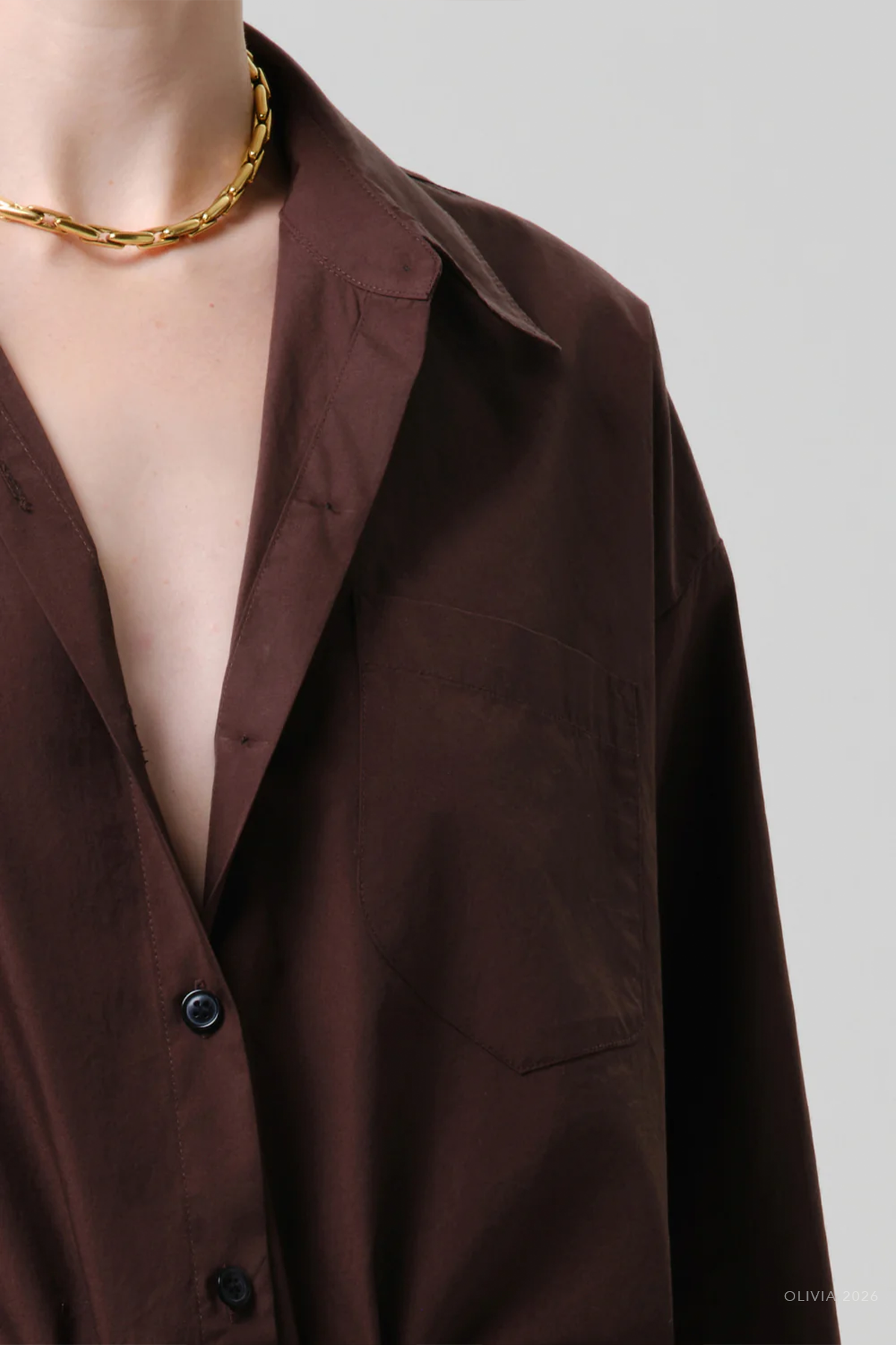 Petit Ami Shirt in Brun